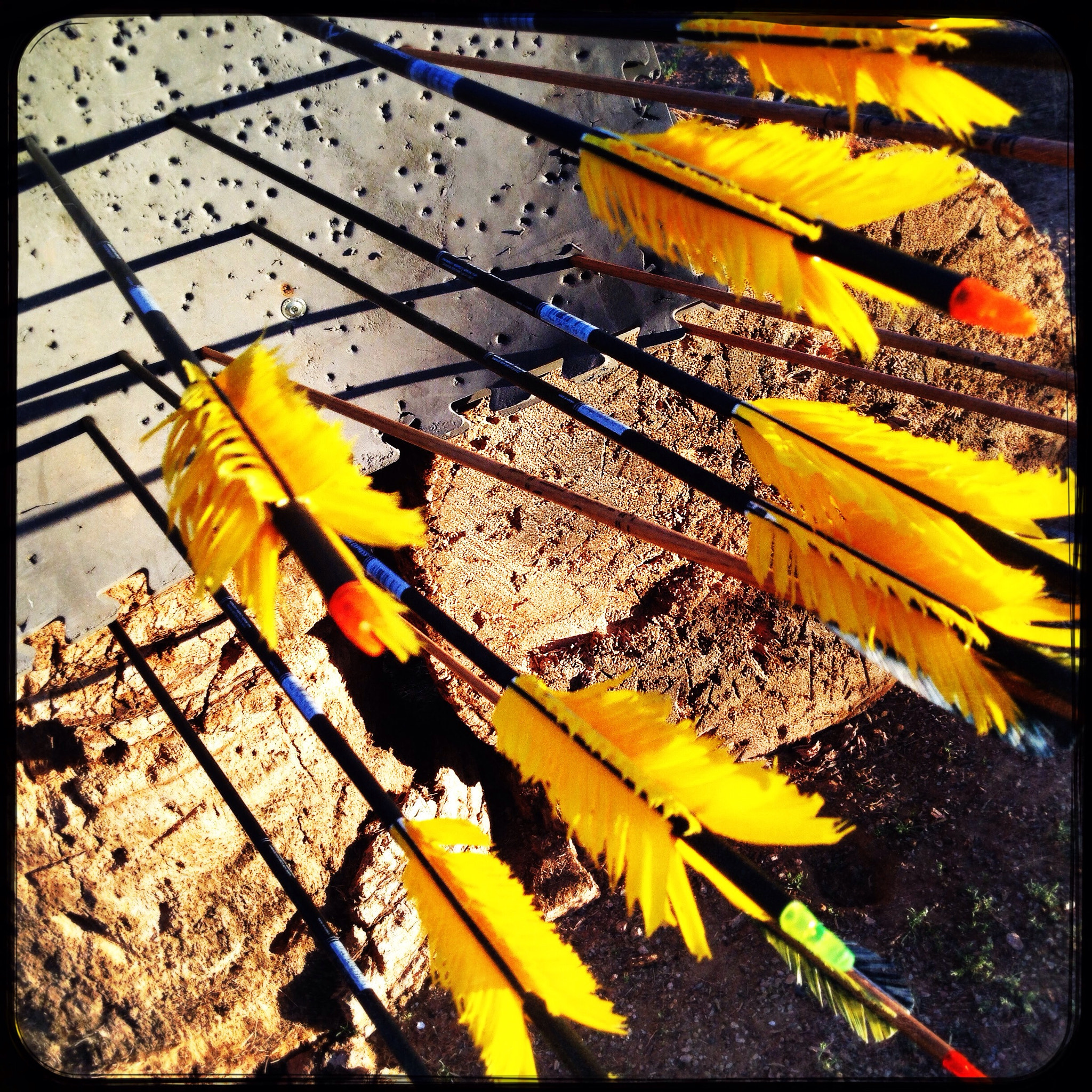 Hipstamatic 311 sample photo. Flu flu arrows photography