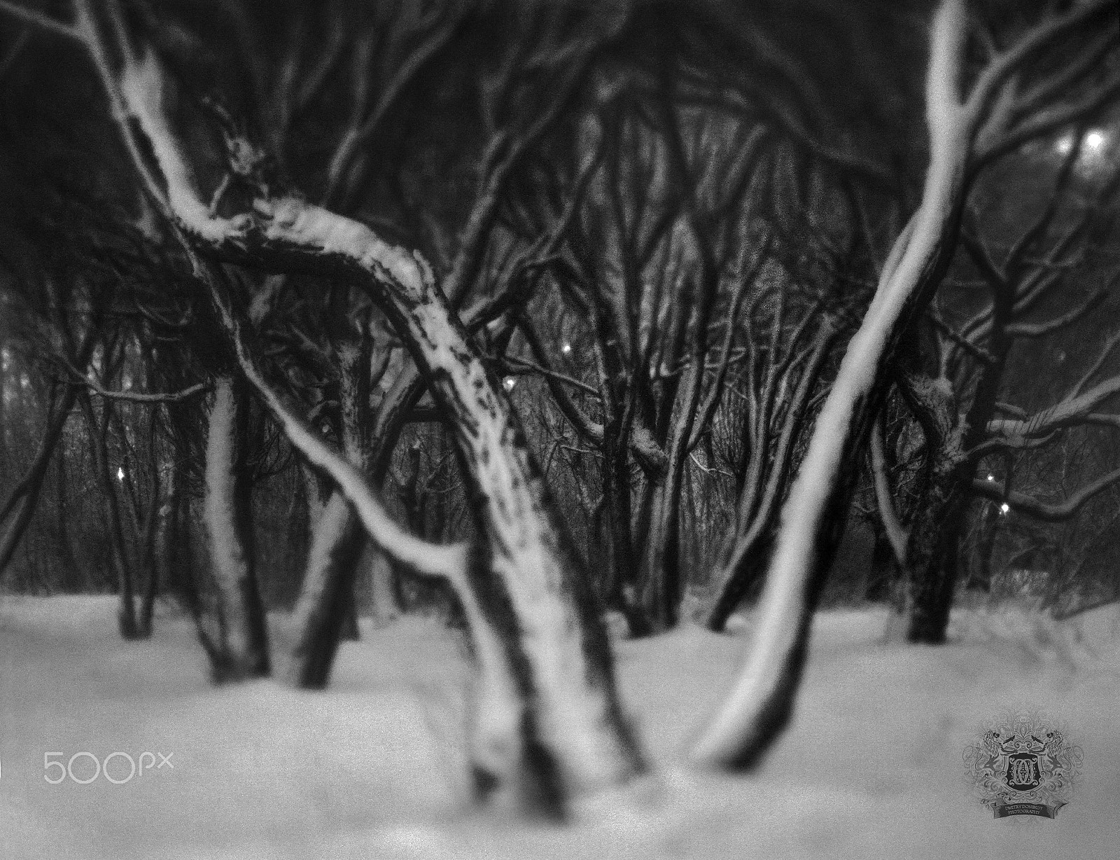 Canon TS-E 90mm F2.8 Tilt-Shift sample photo. Лес сомнений - forest of hesitation - Покровское Г photography