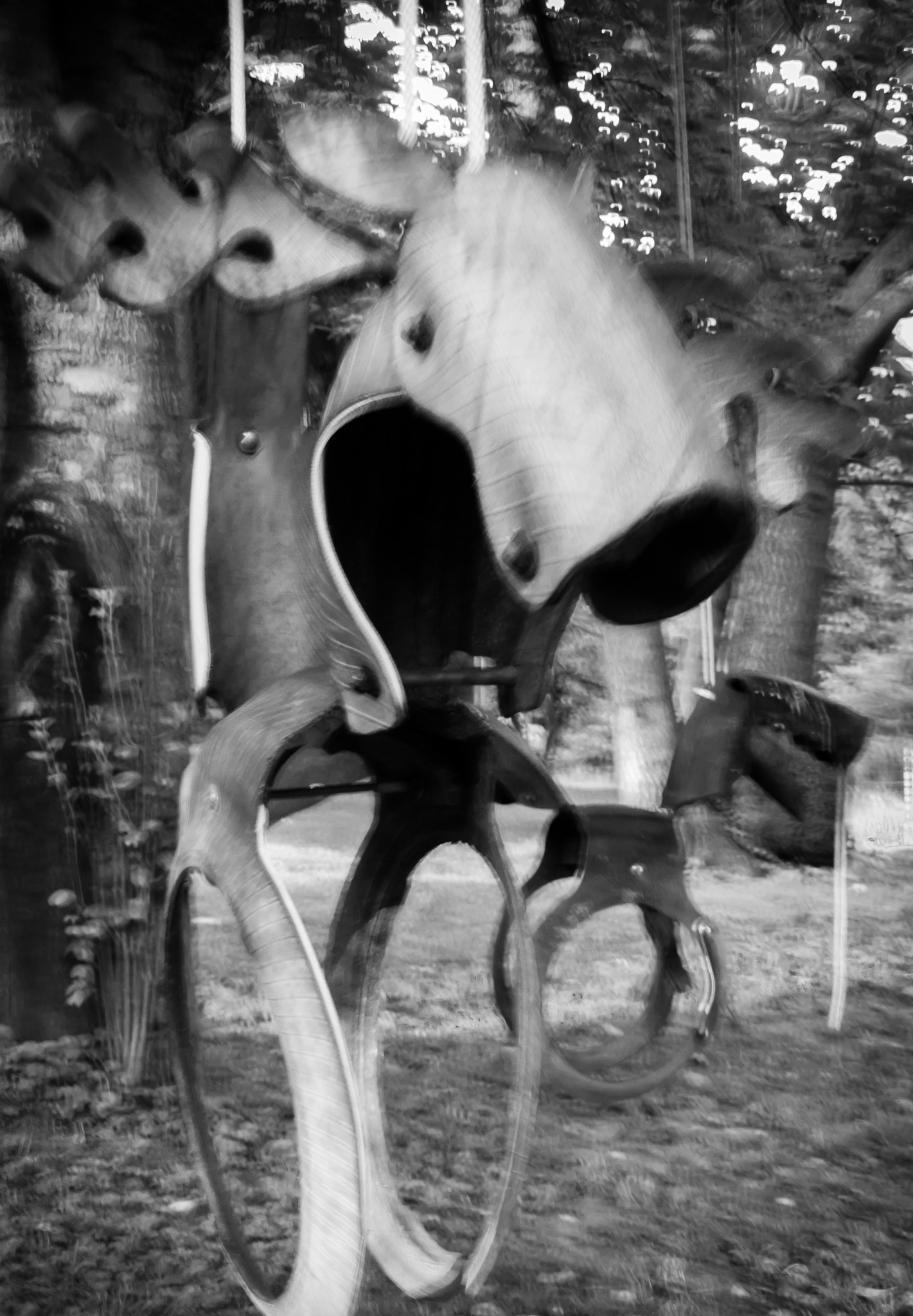 Olympus C70Z,C7000Z sample photo. Rubber horse photography
