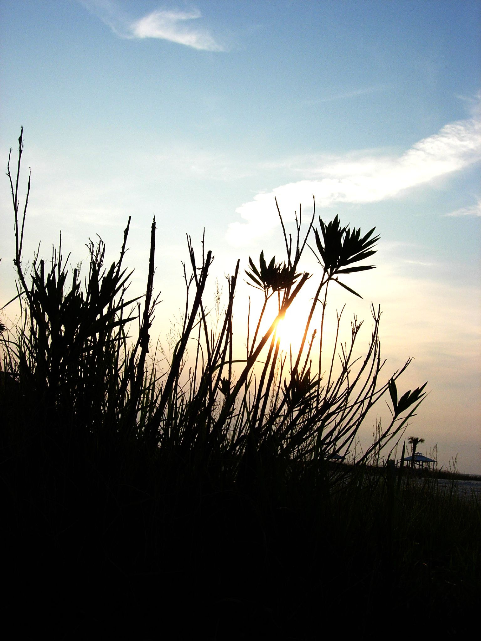 Nikon E5200 sample photo. Beach photography