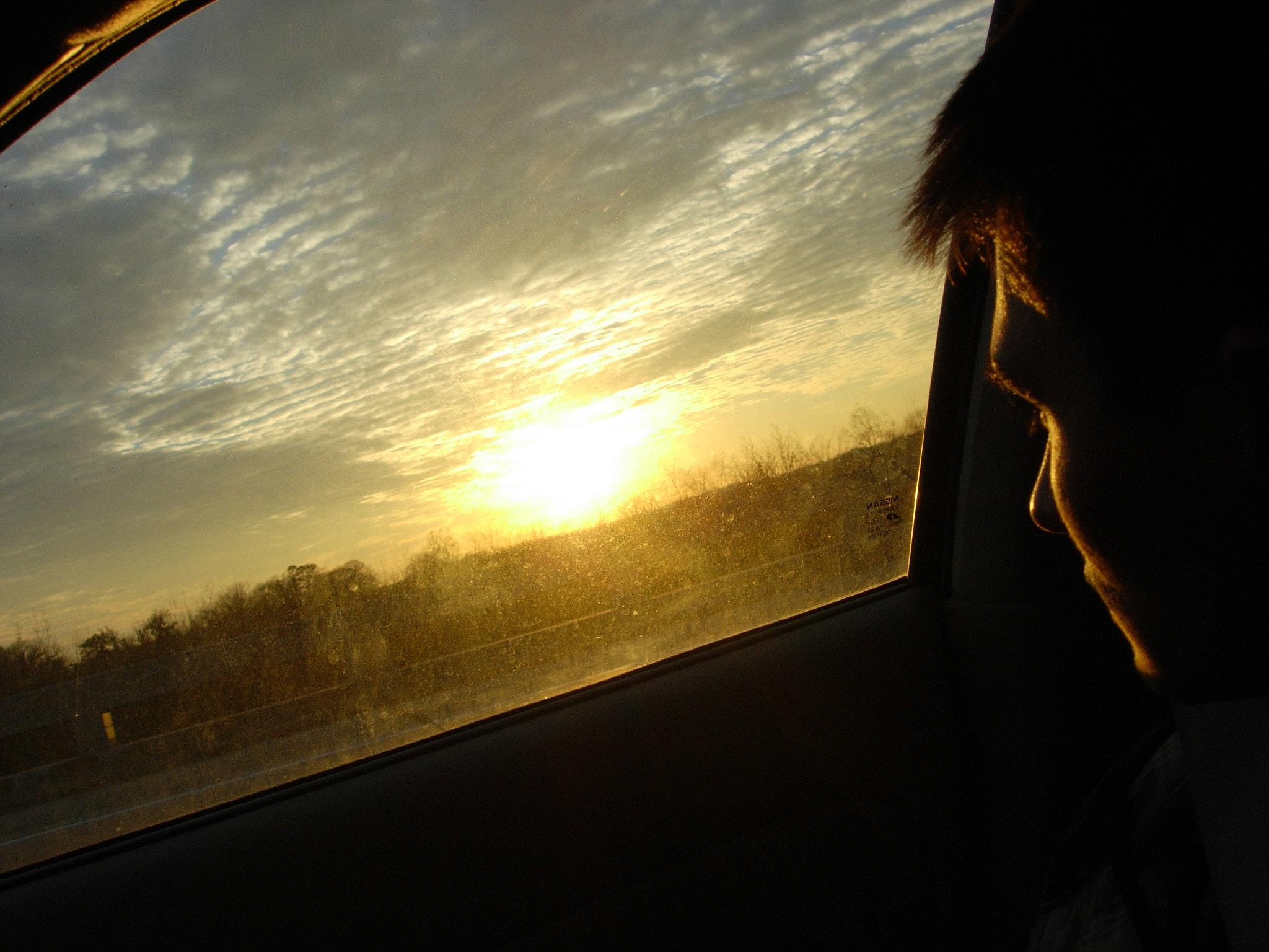 Nikon E5200 sample photo. The drive photography