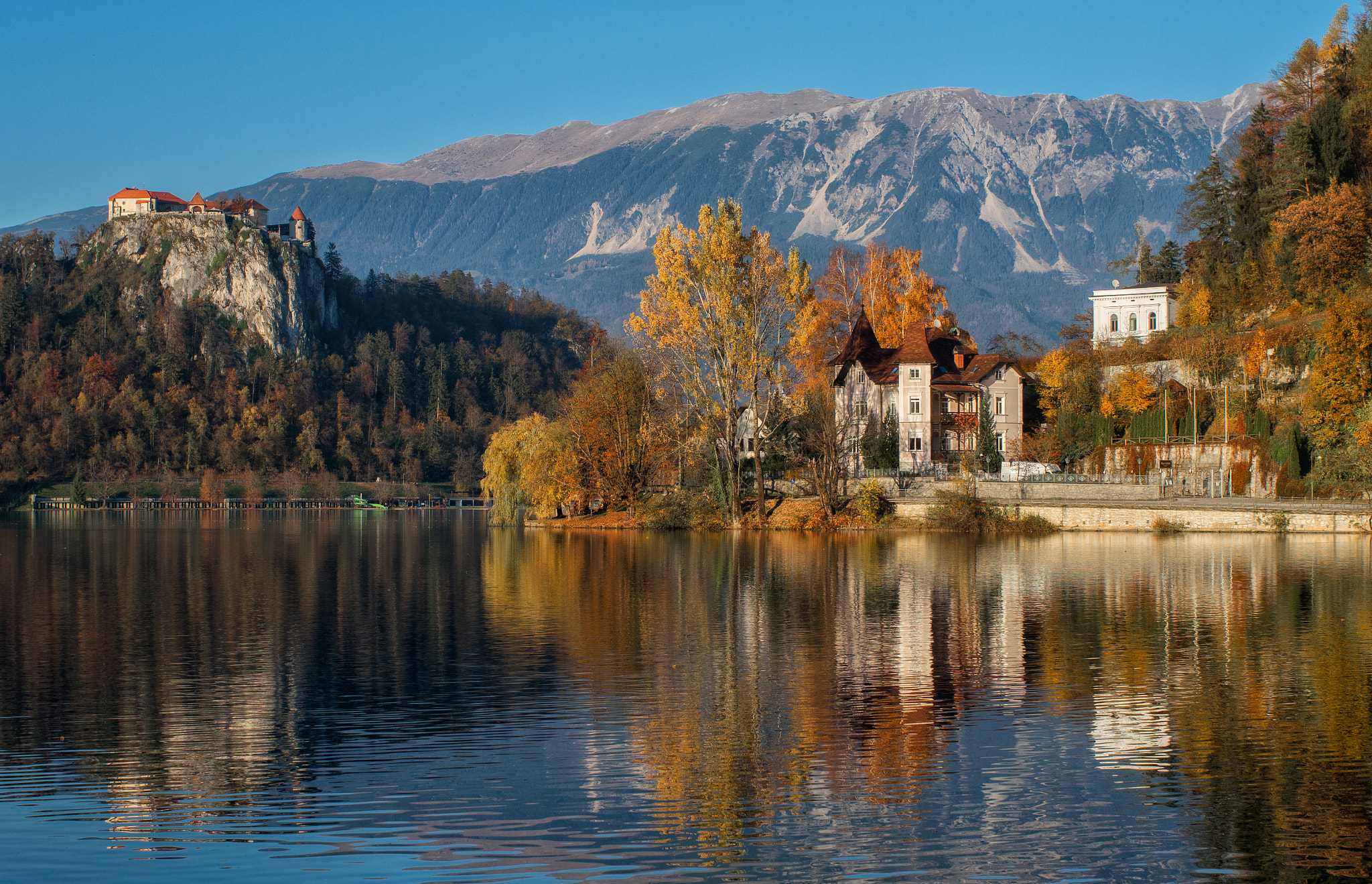 Pentax K-5 IIs sample photo. Golden autumn in slovenia photography