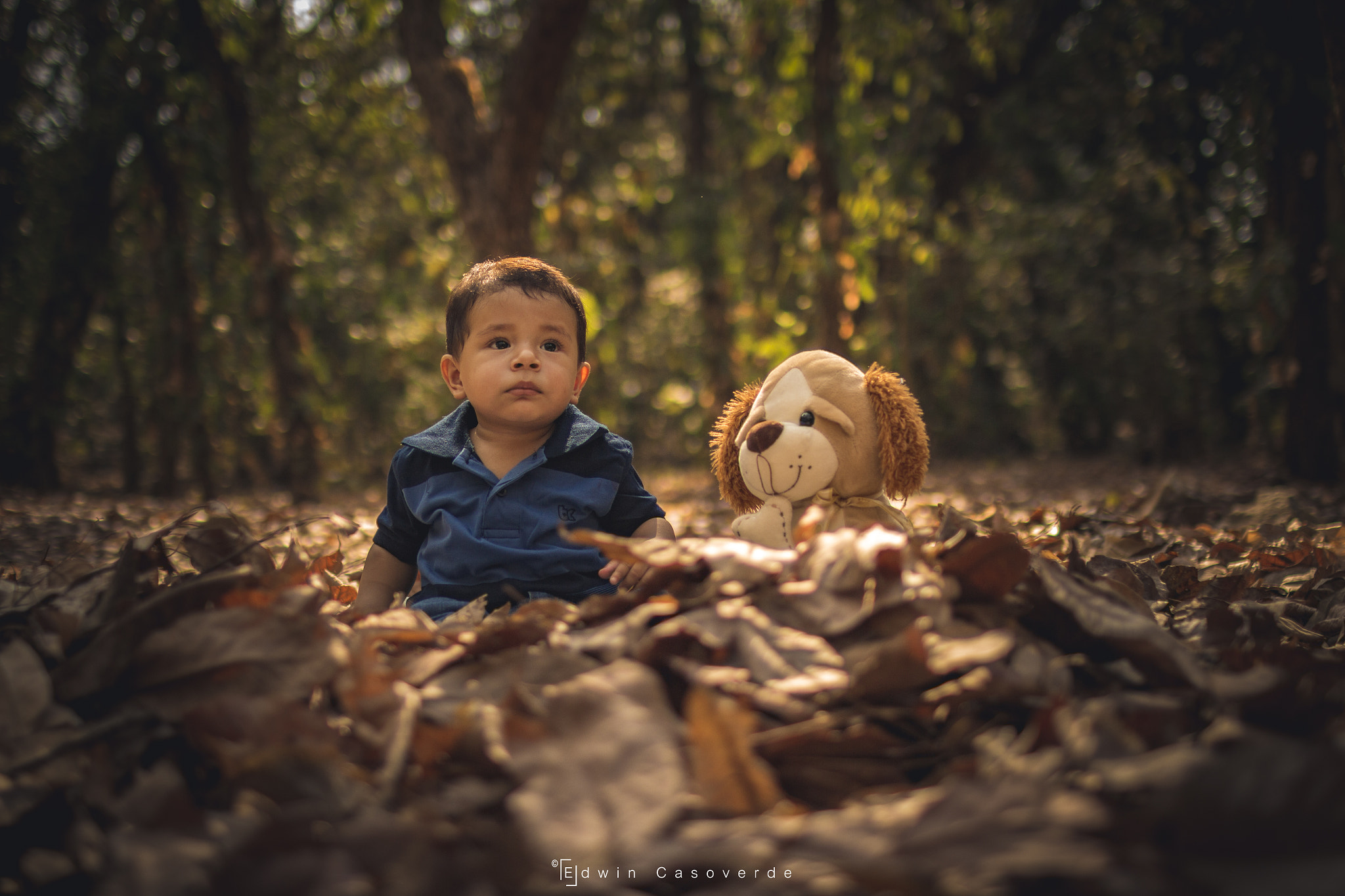 Sigma 30mm F1.4 EX DC HSM sample photo. Little friend photography