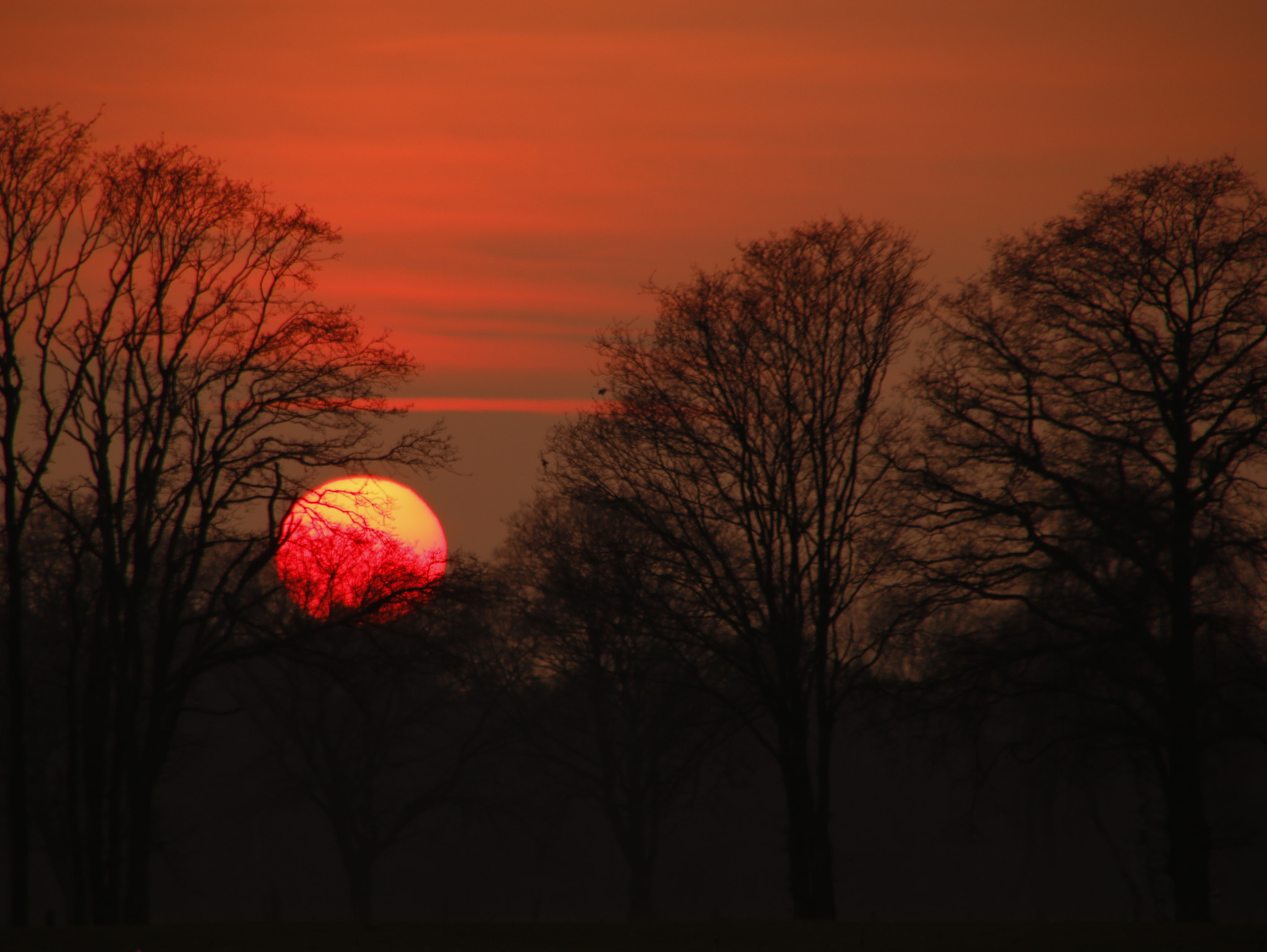 Canon EOS 760D (EOS Rebel T6s / EOS 8000D) sample photo. Zonsondergang photography