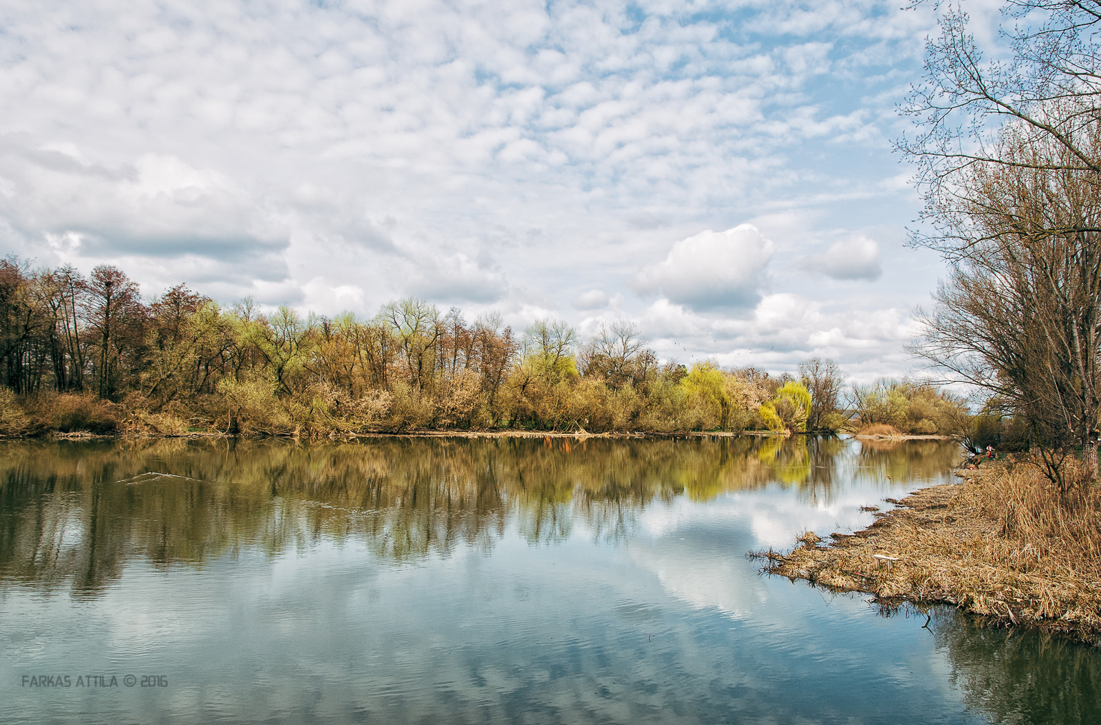 Nikon D60 sample photo. Spring time... photography