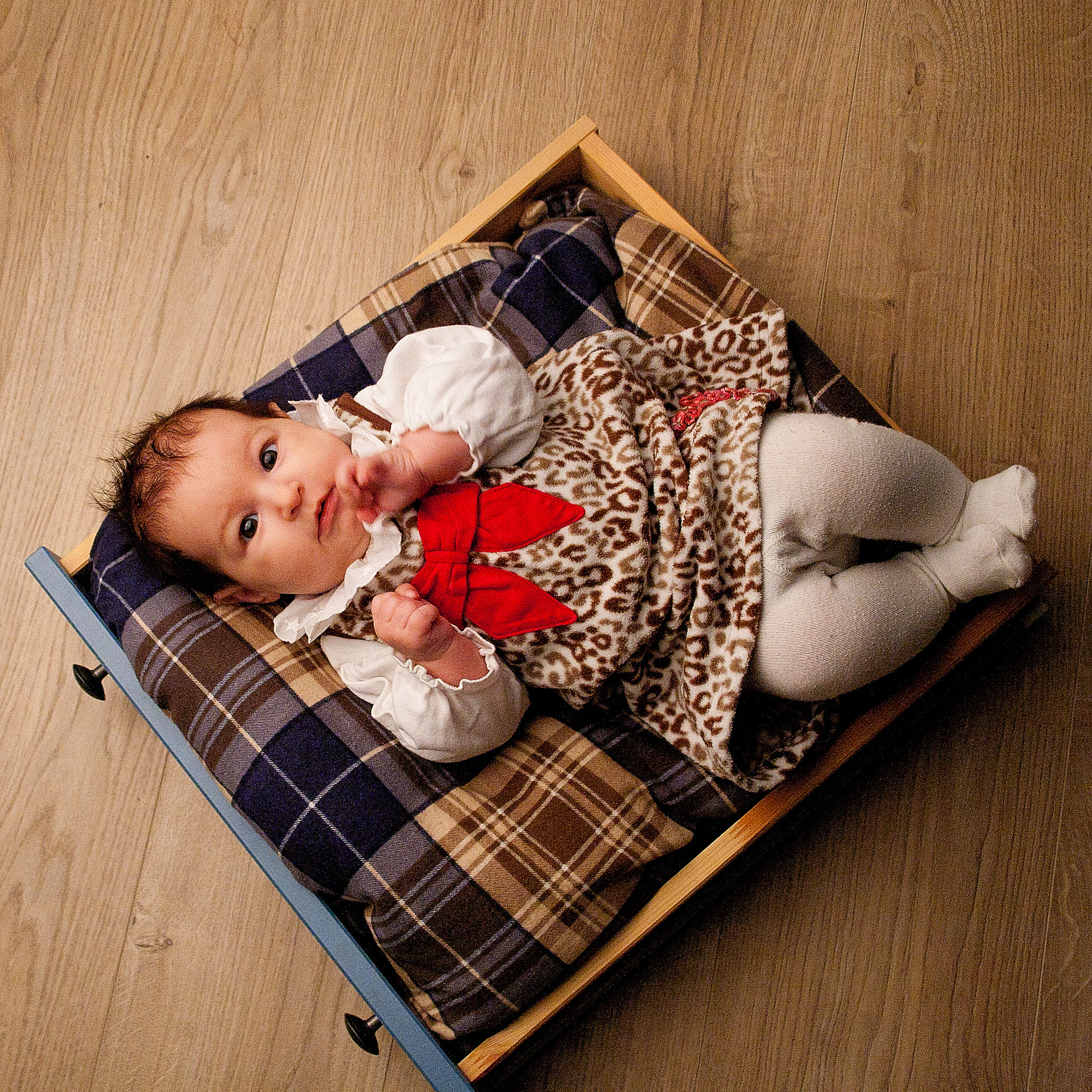 Canon EF 28-200mm F3.5-5.6 USM sample photo. Cute photography