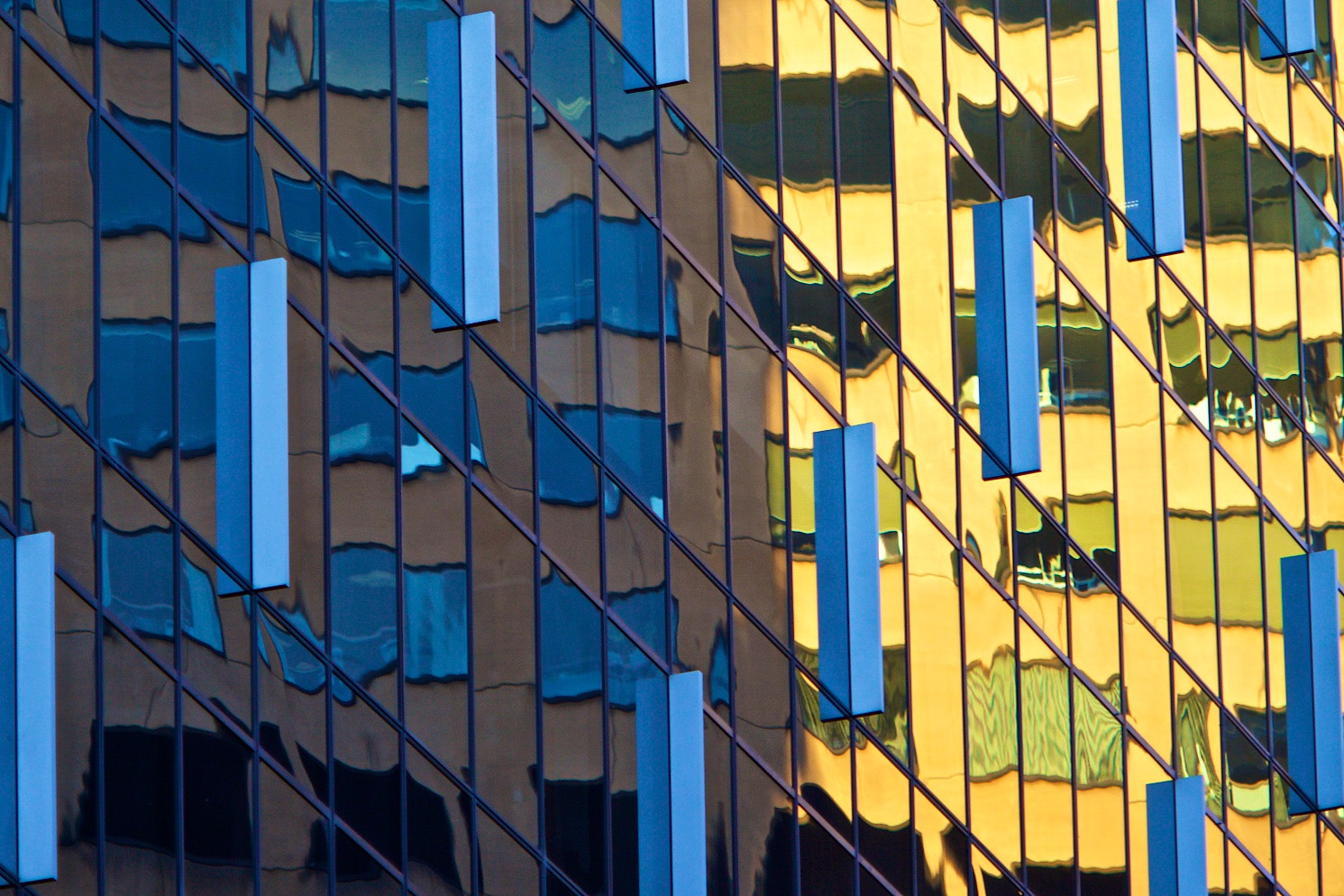 Canon EF 135mm F2L USM sample photo. Reflection #9 photography