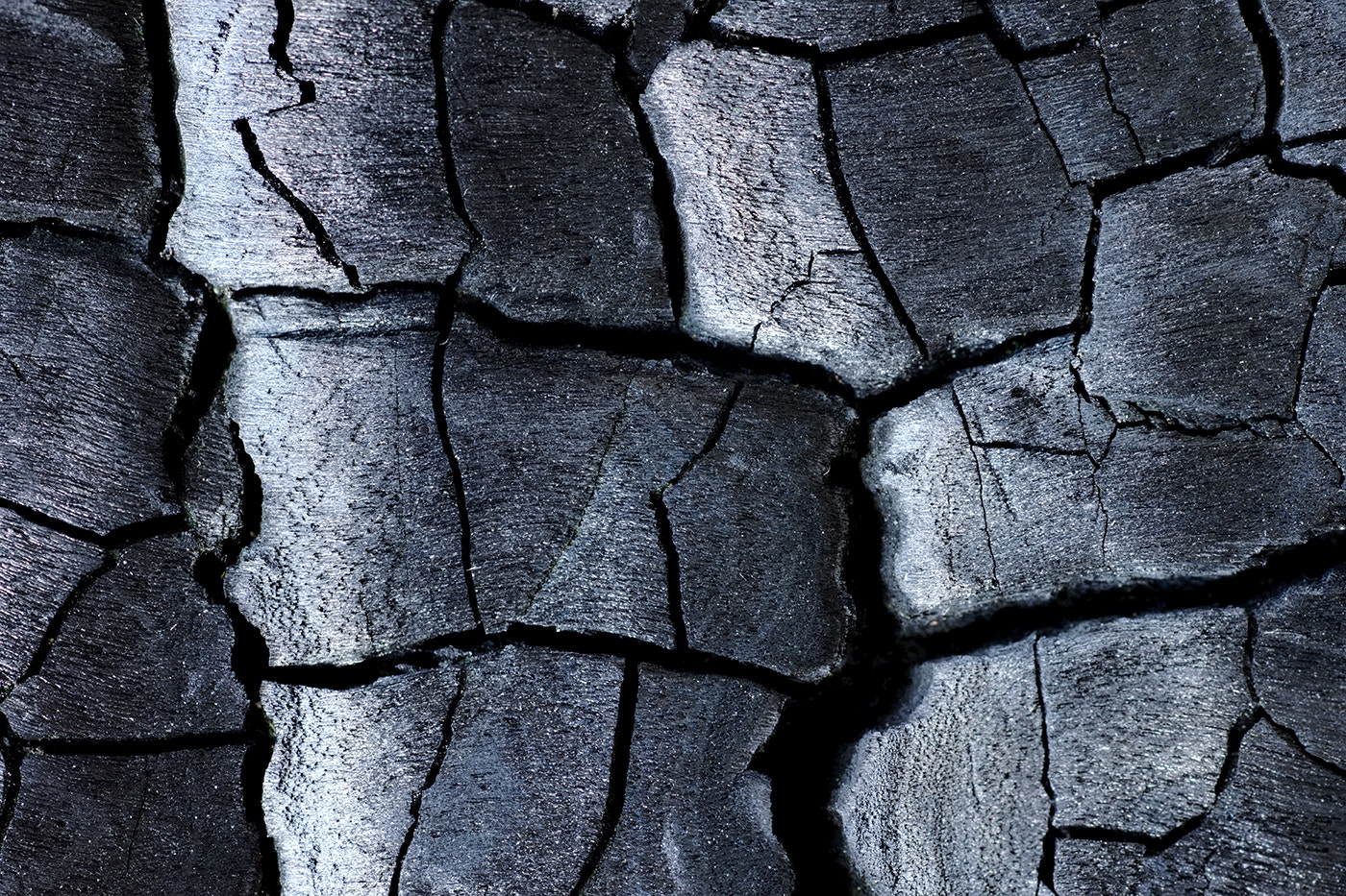 Sony SLT-A77 + Minolta AF 100mm F2.8 Macro [New] sample photo. Burned tree photography