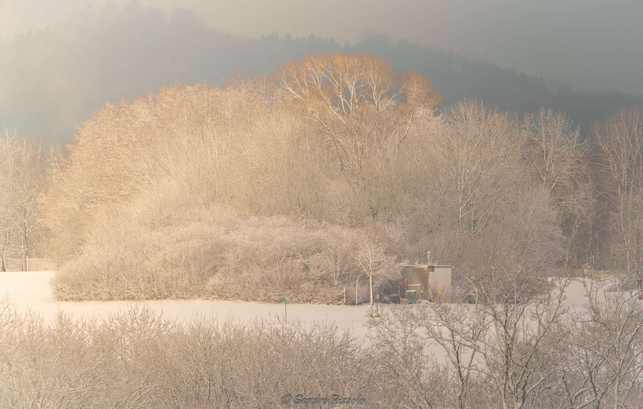 Sigma 150-600mm F5-6.3 DG OS HSM | C sample photo. Winterlight photography