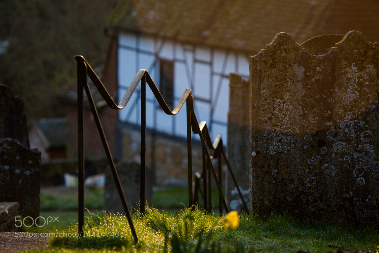 Canon EOS 5D Mark II sample photo. Untitled photography
