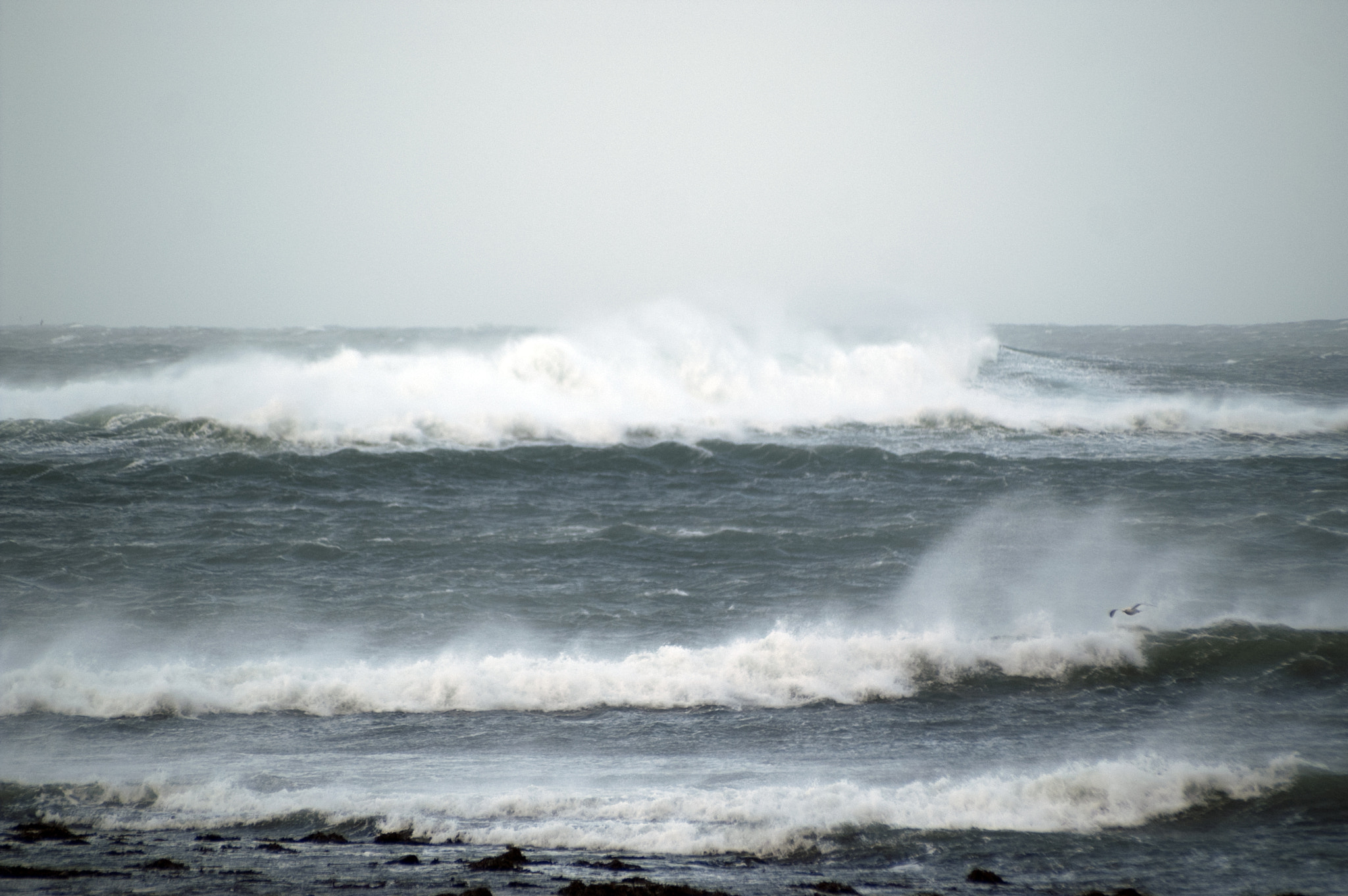 KONICA MINOLTA MAXXUM 5D sample photo. Choppy waves photography