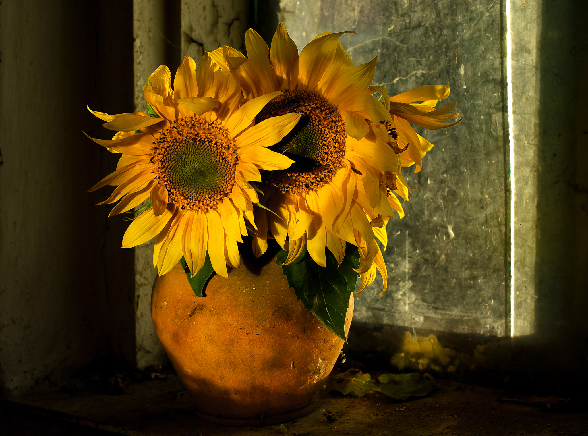 Pentax K200D sample photo. Sunflowers photography