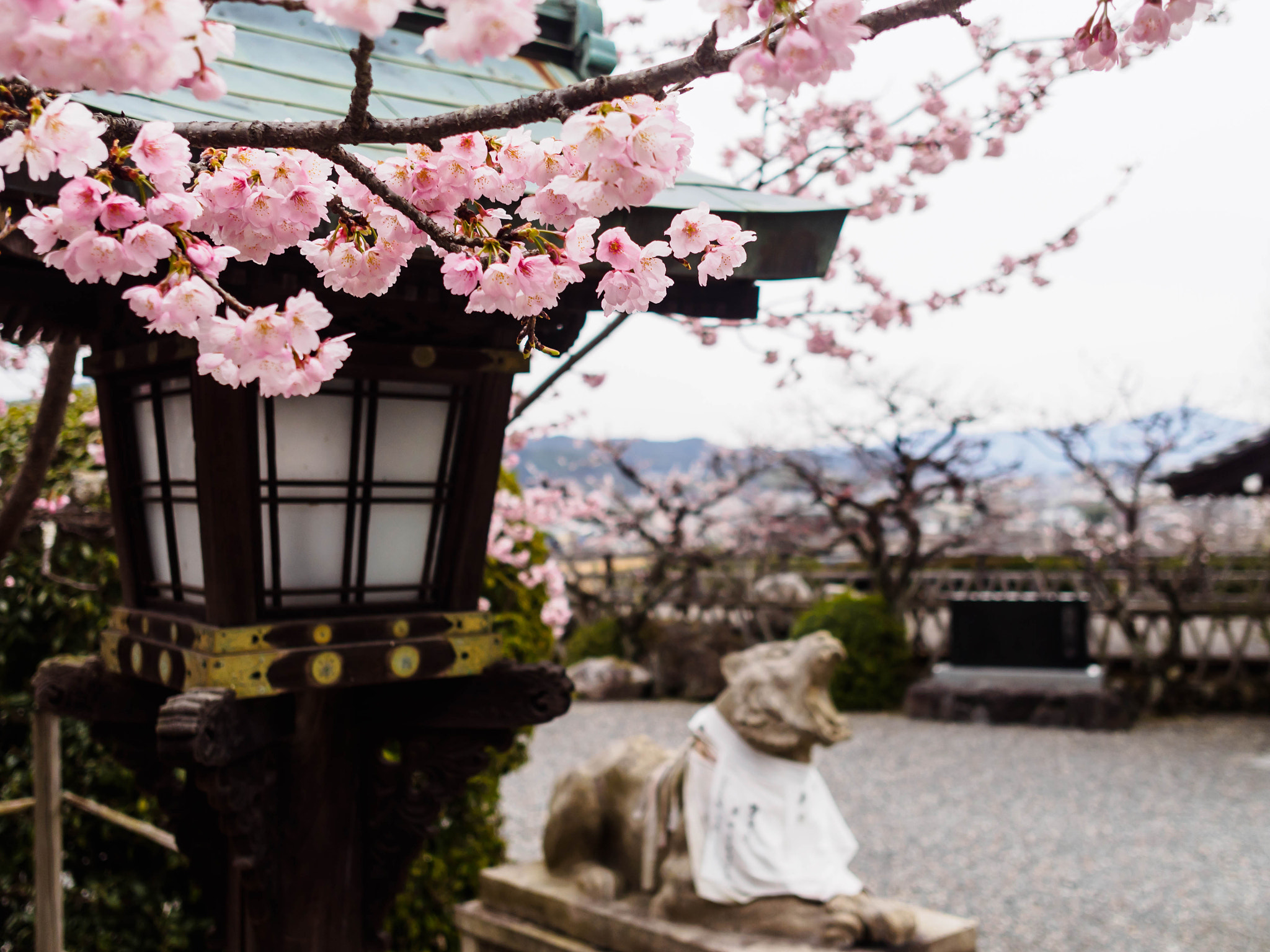 Olympus PEN E-PL6 + Sigma 19mm F2.8 DN Art sample photo. 法輪寺 photography