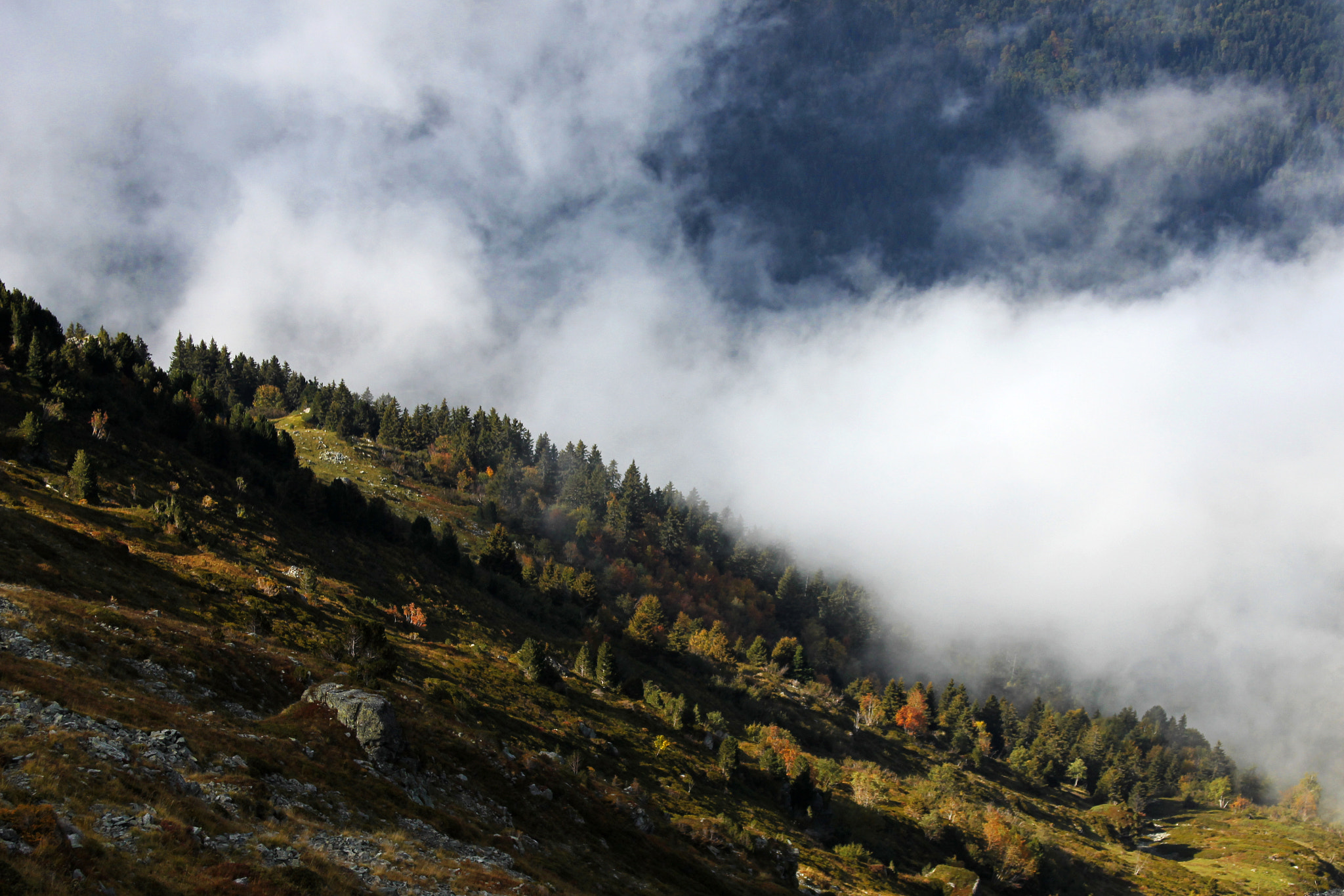 Canon EF 28-135mm F3.5-5.6 IS USM sample photo. Above clouds photography