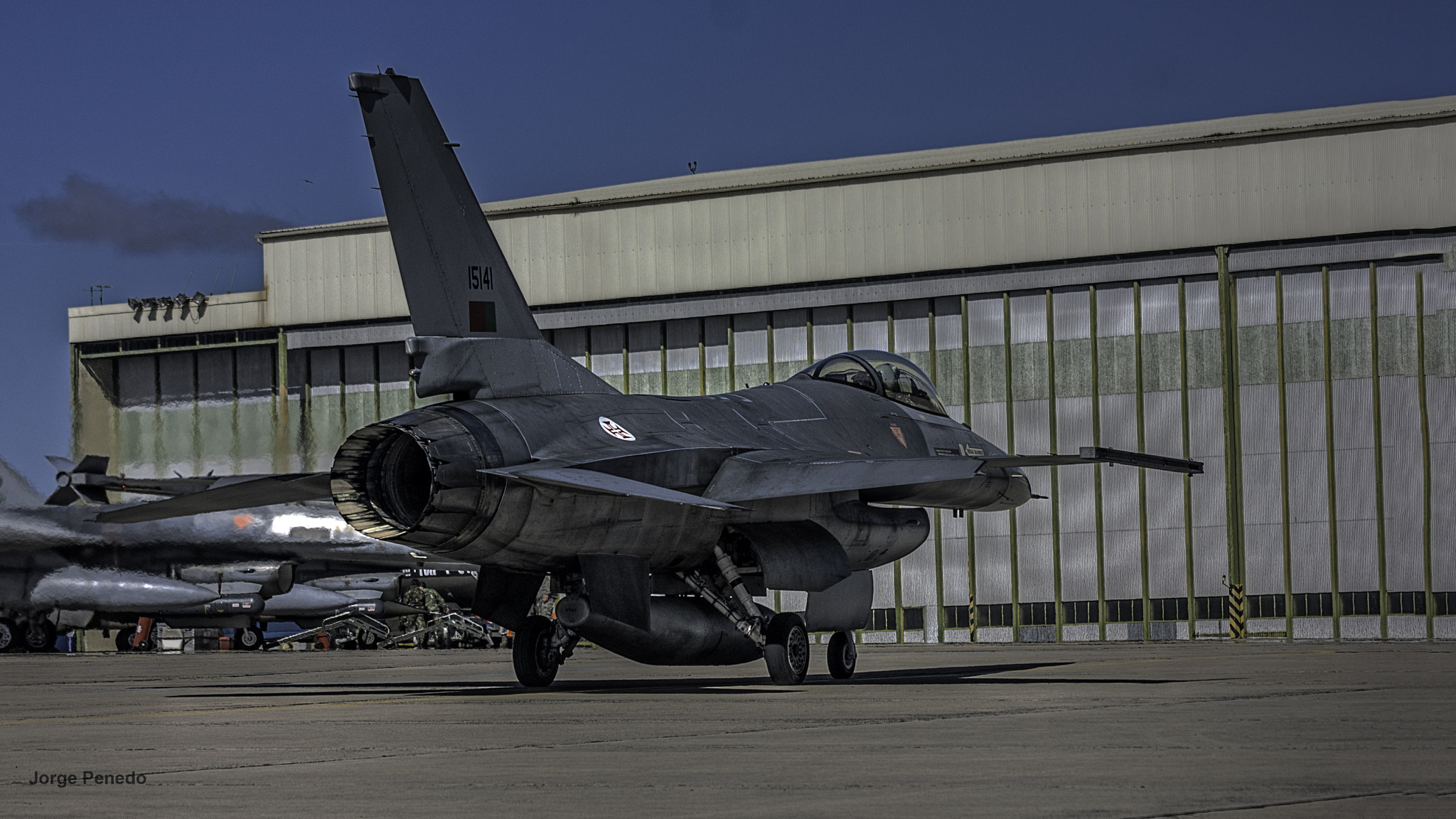 Sony Alpha DSLR-A390 sample photo. Falcon, f-16 falcon it's my name but you can call me viper photography