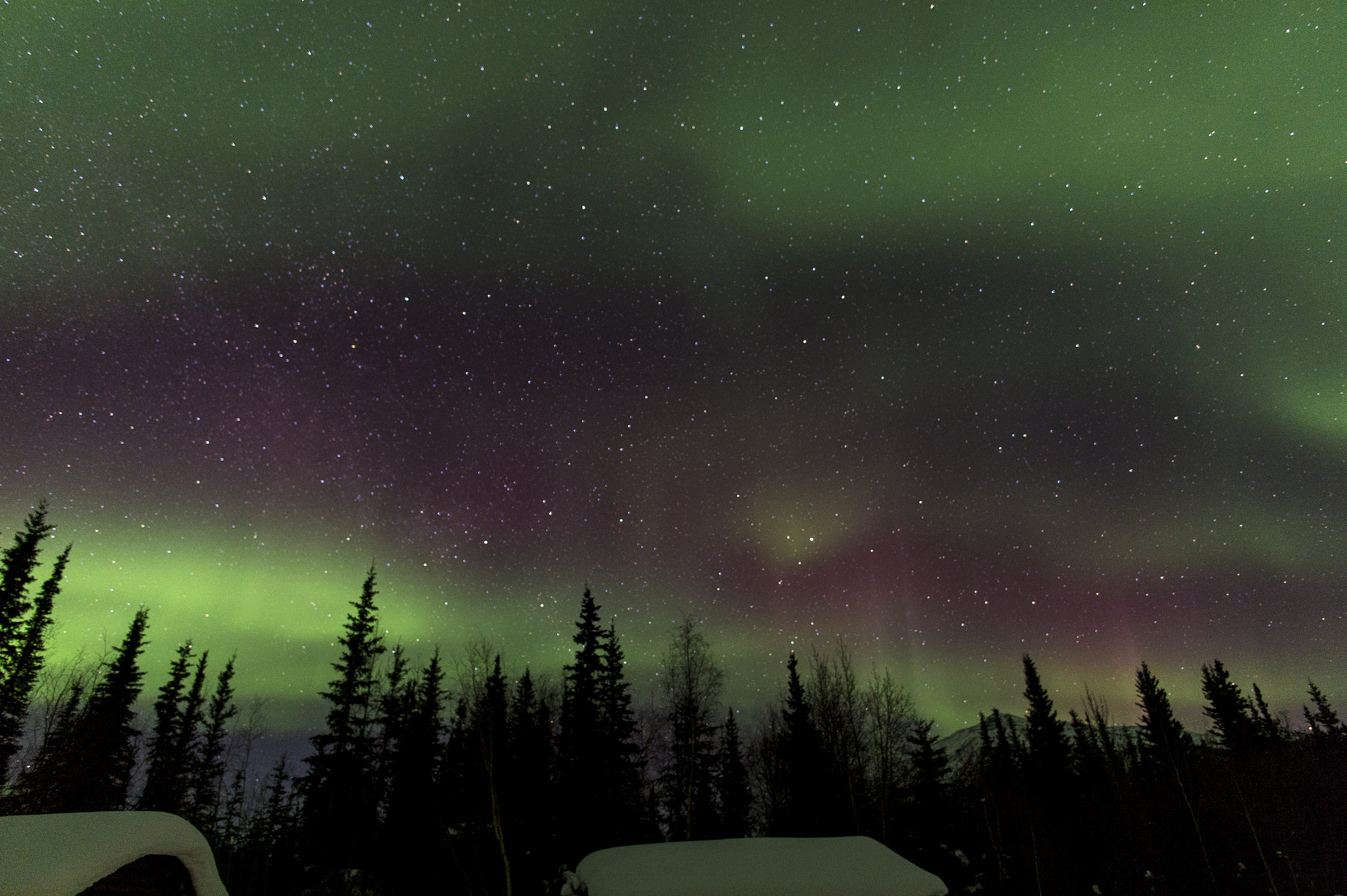 Nikon Df + Nikon AF-S Nikkor 20mm F1.8G ED sample photo. Northern lights @alaska photography