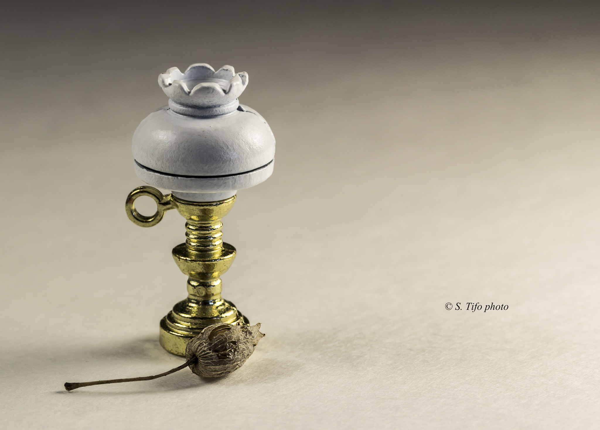 Canon EF-S 60mm F2.8 Macro USM sample photo. Minuscule ... photography