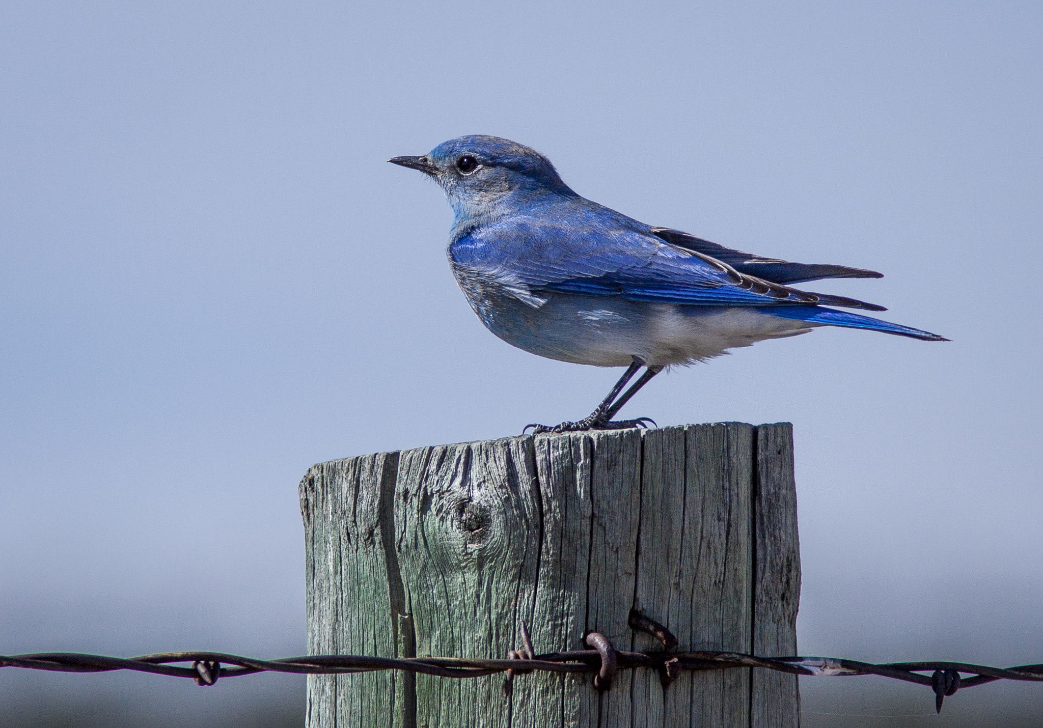Canon EF 300mm F4L IS USM sample photo. Back from winter vacation photography