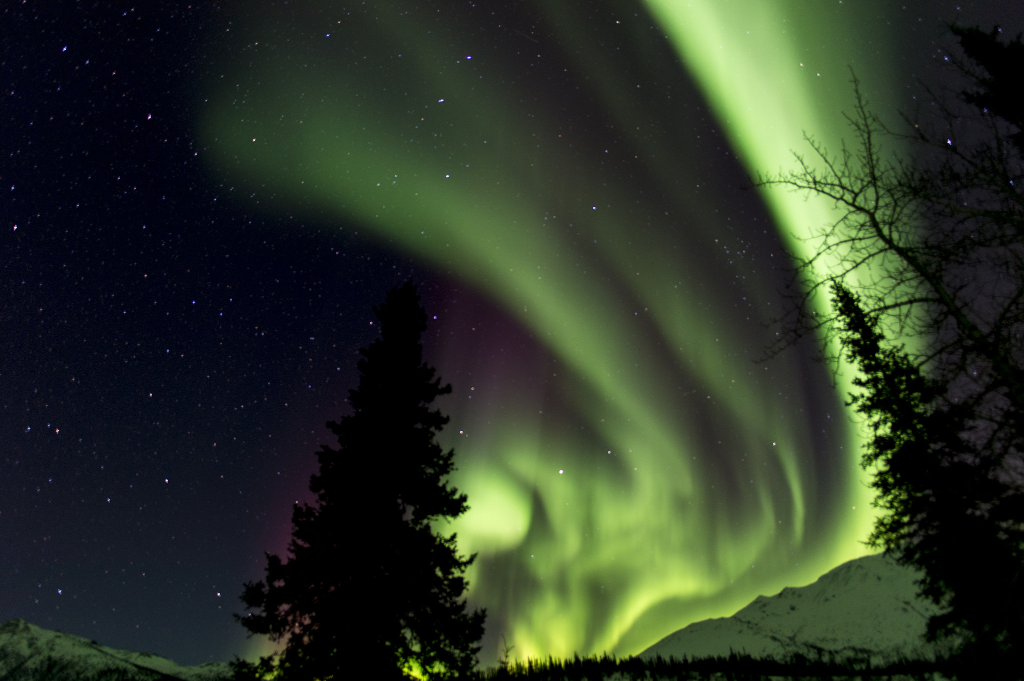 Nikon Df + Nikon AF-S Nikkor 20mm F1.8G ED sample photo. Northern lights @alaska photography