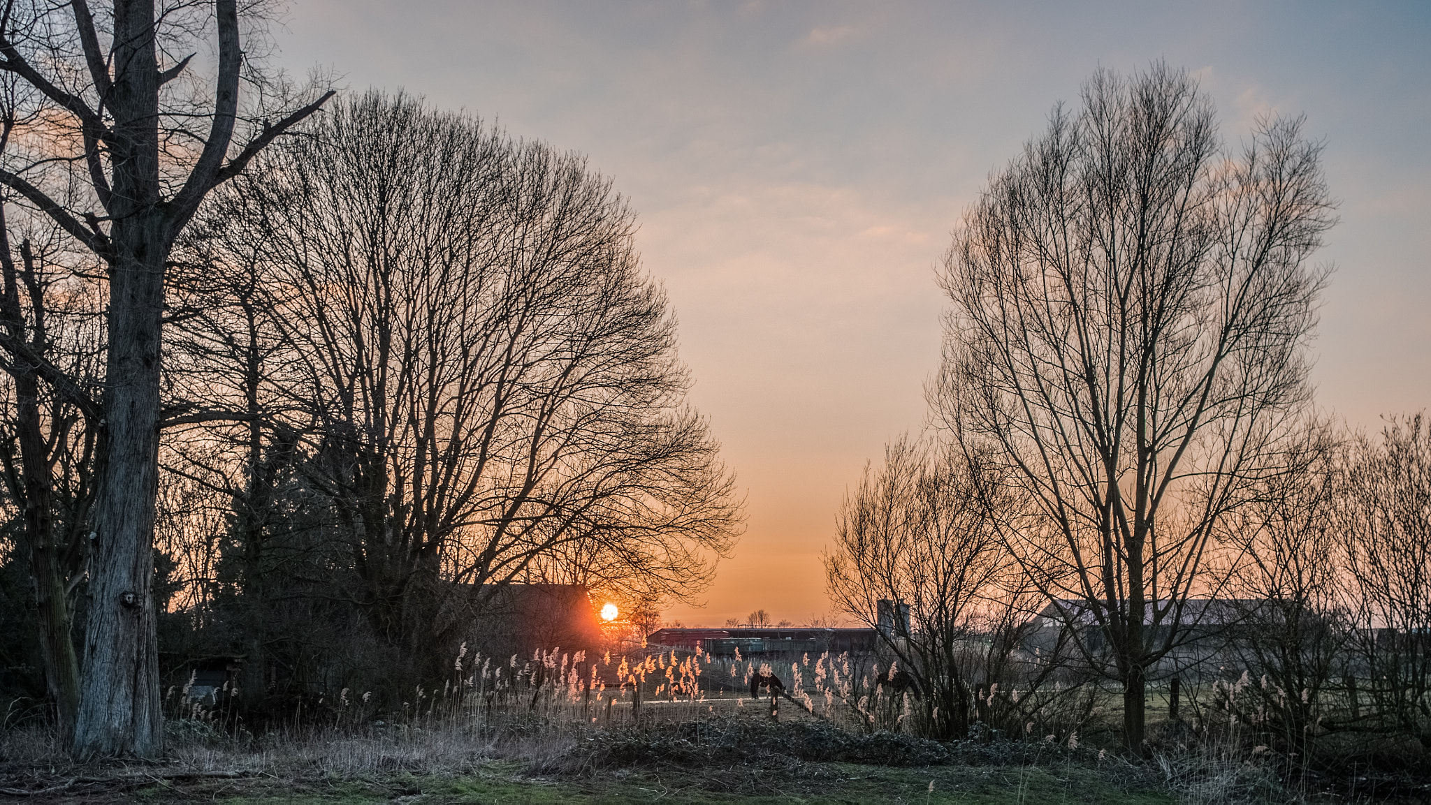 Olympus OM-D E-M5 II + Sigma 19mm F2.8 EX DN sample photo. Sundown bei schloss wissen photography