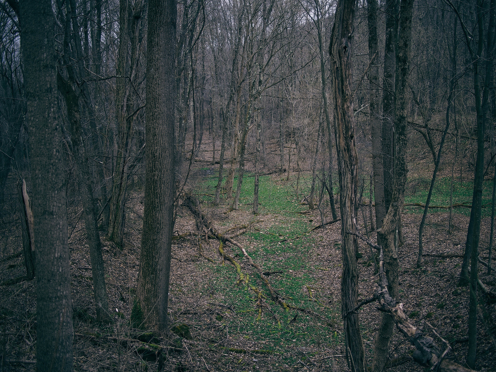 Olympus PEN E-P5 + Panasonic Lumix G 20mm F1.7 ASPH sample photo. . photography