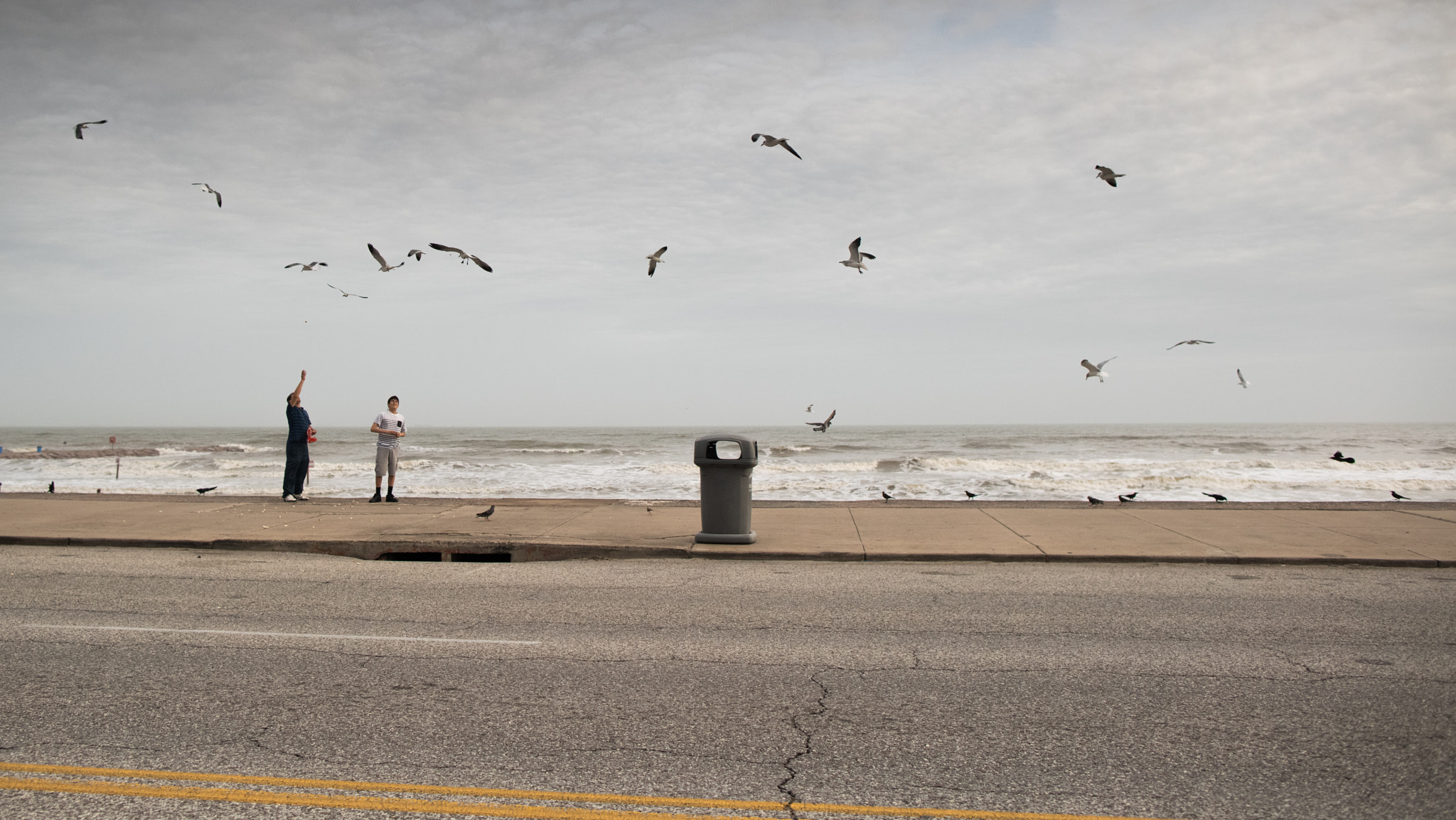 24mm F1.4 sample photo. Birdfeeding photography