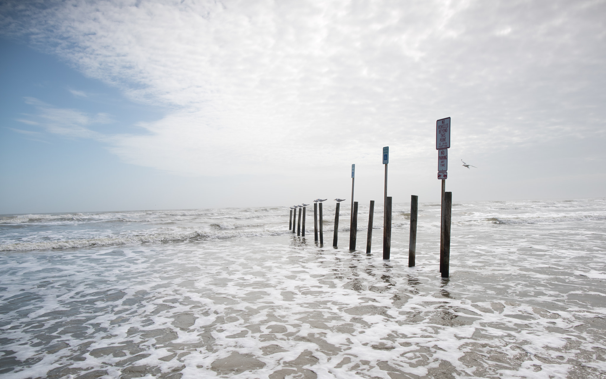 24mm F1.4 sample photo. No parking beach photography