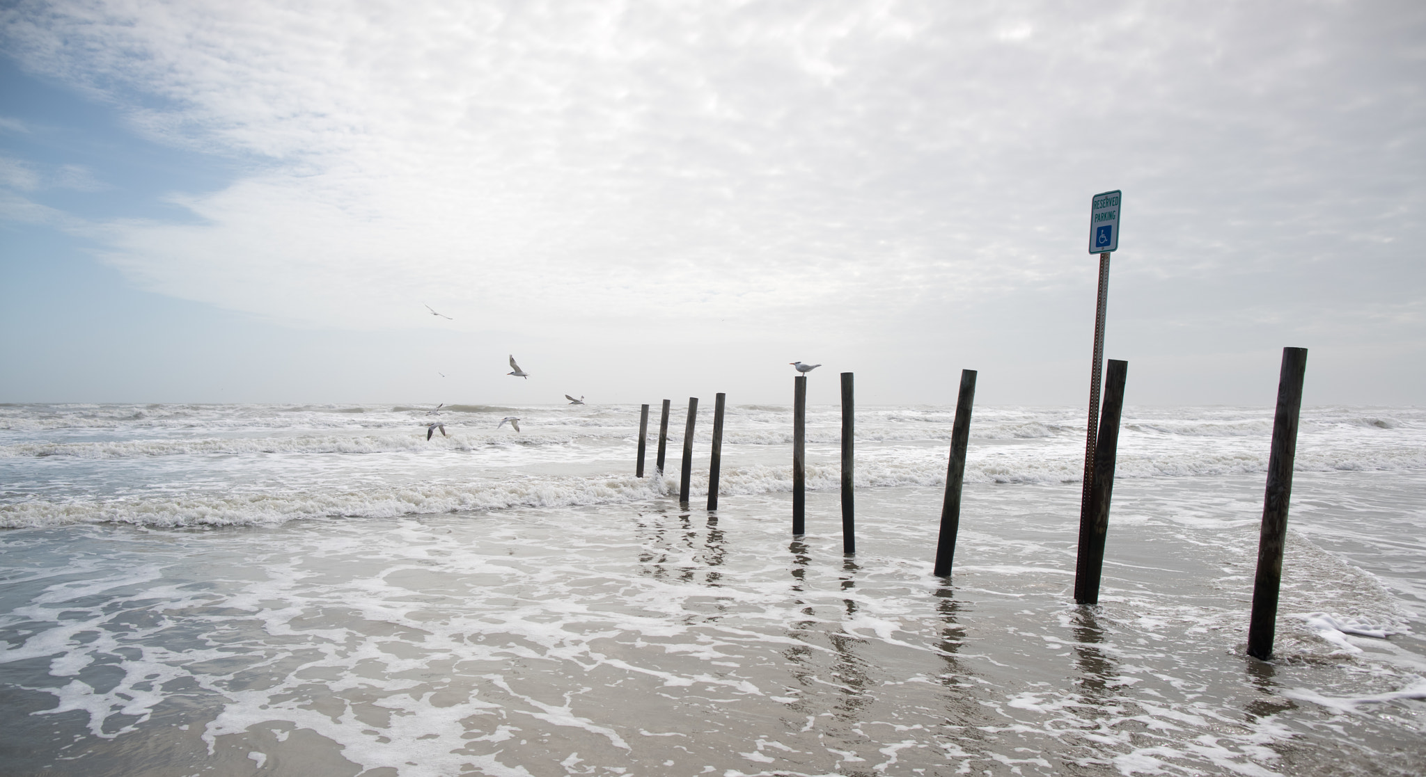 24mm F1.4 sample photo. No parking beach #2 photography