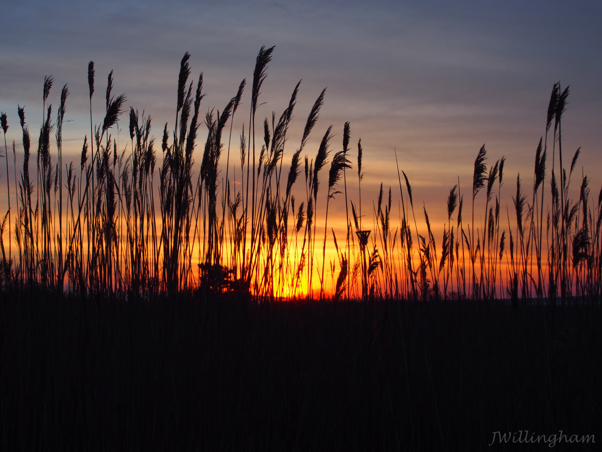 Olympus PEN E-PM2 sample photo. Sunsets are proof that no matter what happens, everyday can end beautifully photography