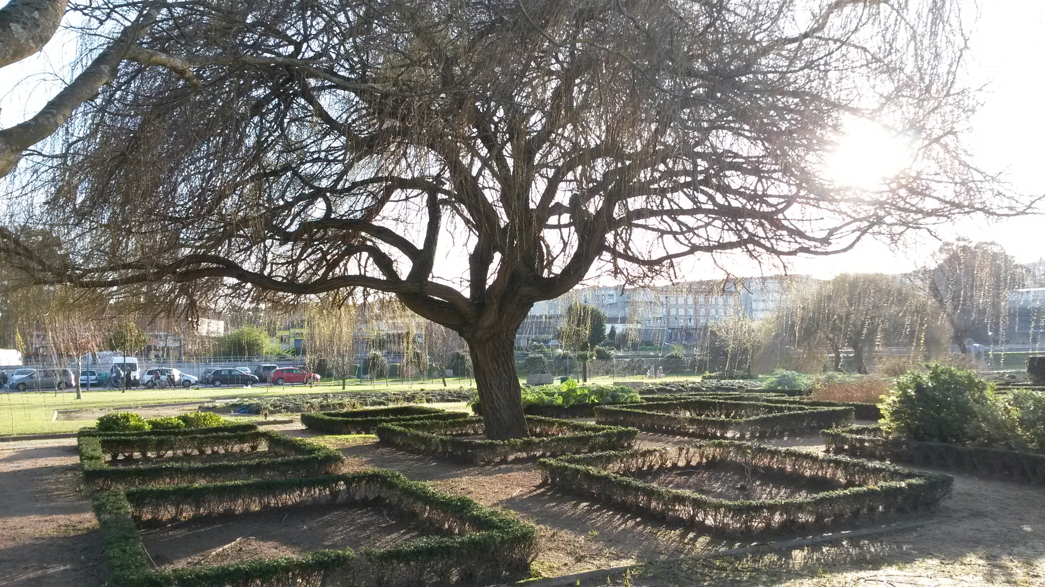 Samsung Galaxy S4 Active sample photo. Esperando la primavera. photography