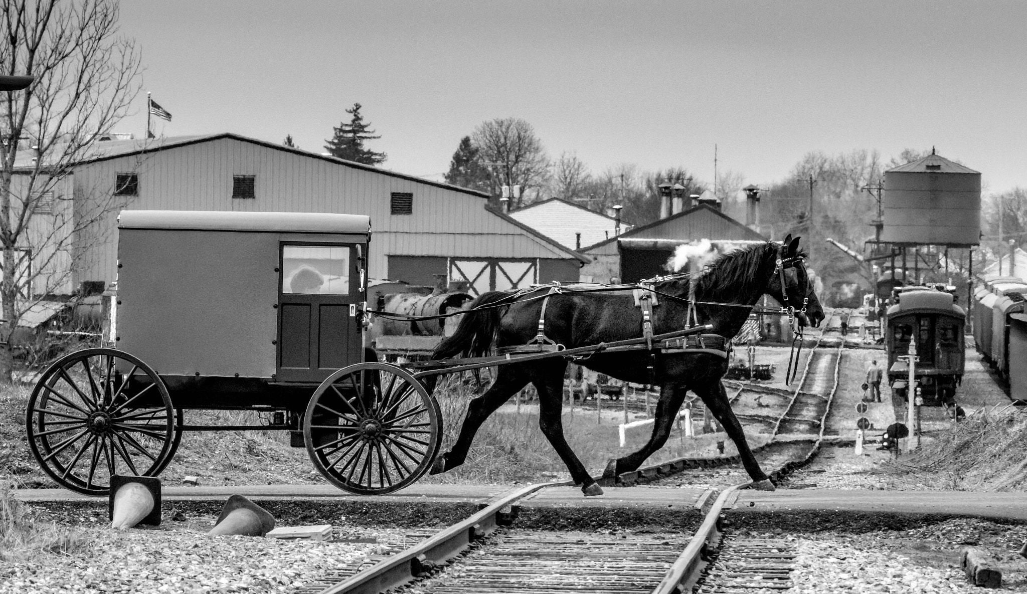 Canon EF 100-400mm F4.5-5.6L IS USM sample photo. Crossing the tracks photography