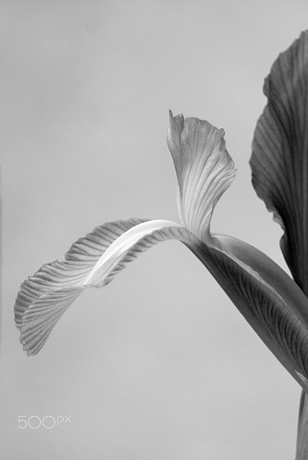 Canon EF 28-80mm f/3.5-5.6 USM IV sample photo. - photography