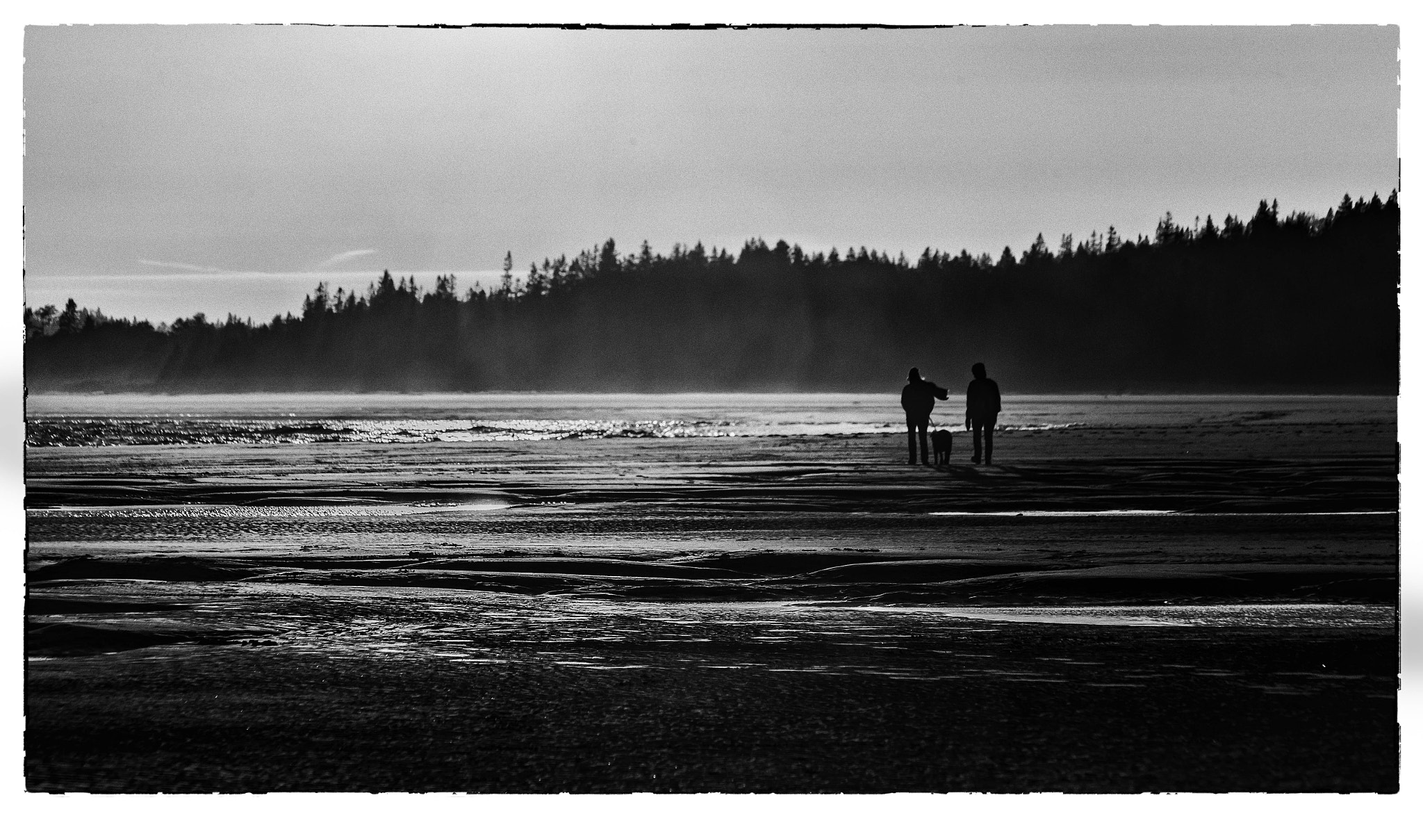 Canon EF 75-300mm F4.0-5.6 IS USM sample photo. Late winter walk photography