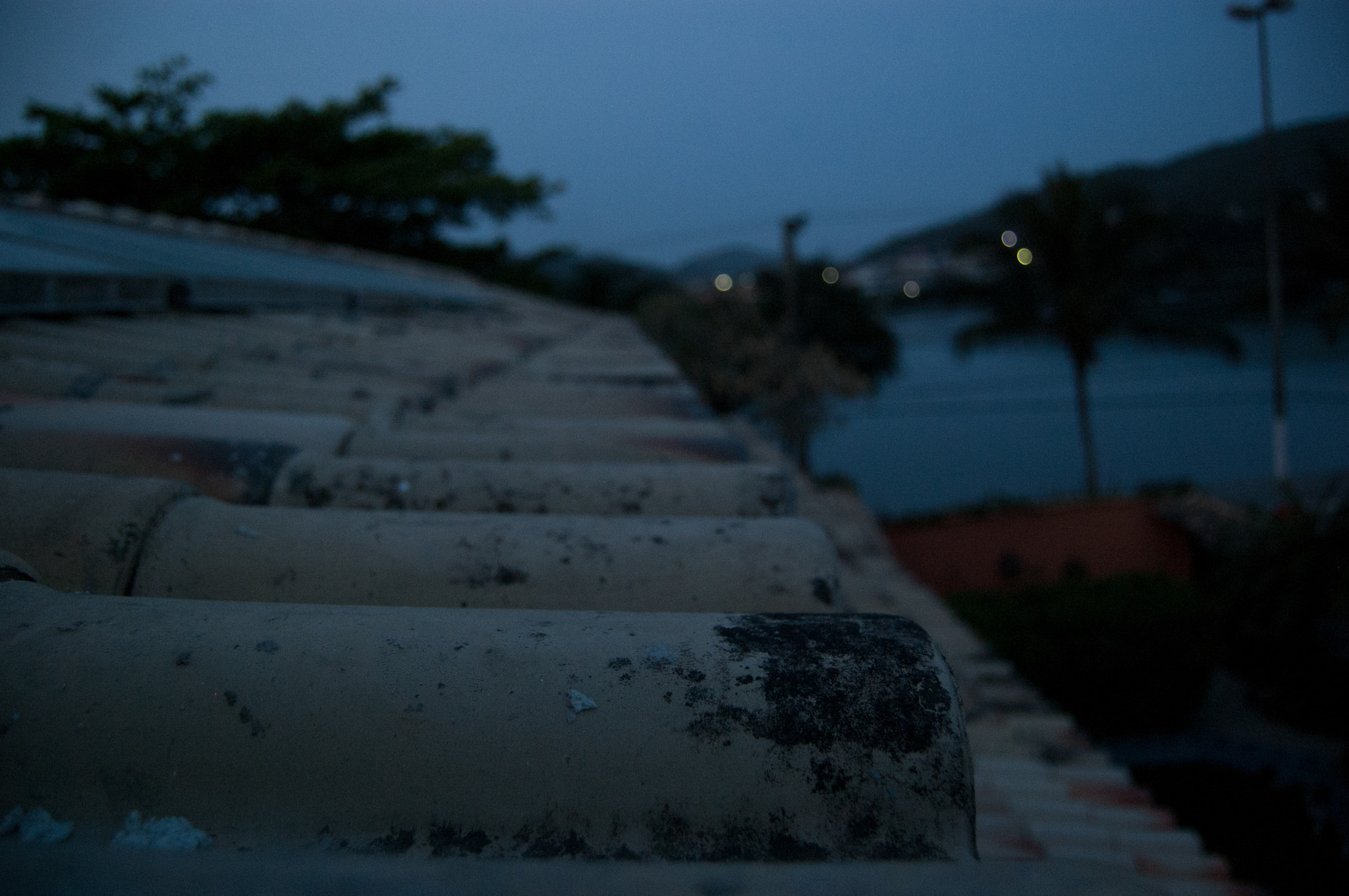 Nikon D50 sample photo. Single photography