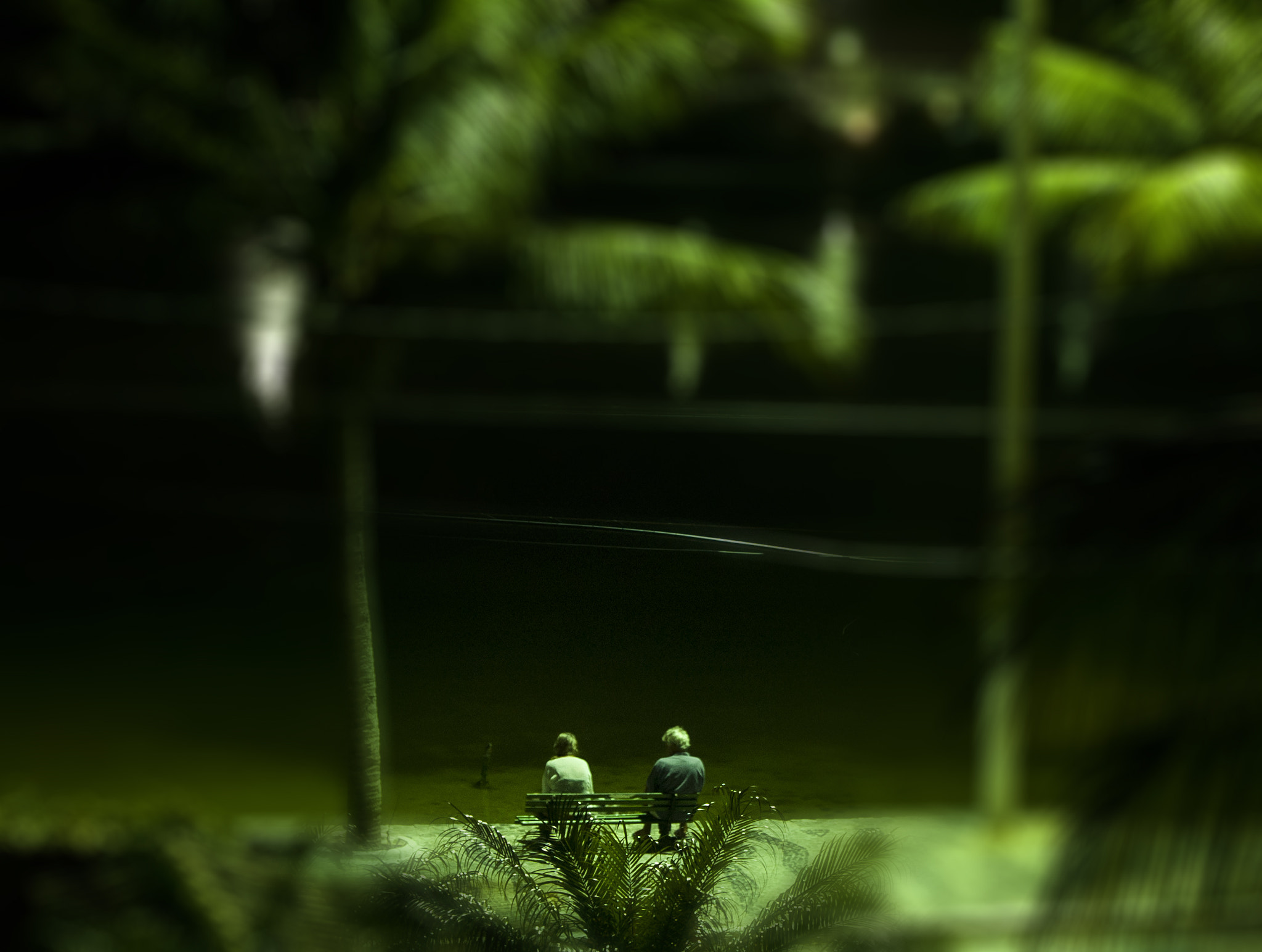 Nikon D50 sample photo. One blur photography