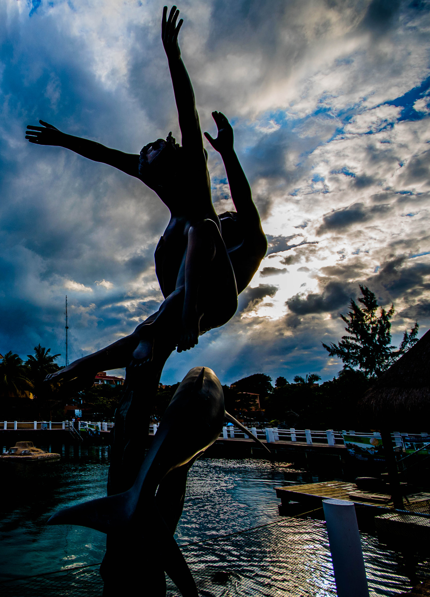 Sigma 10-20mm F4-5.6 EX DC HSM sample photo. Manwomandolphin.jpg photography