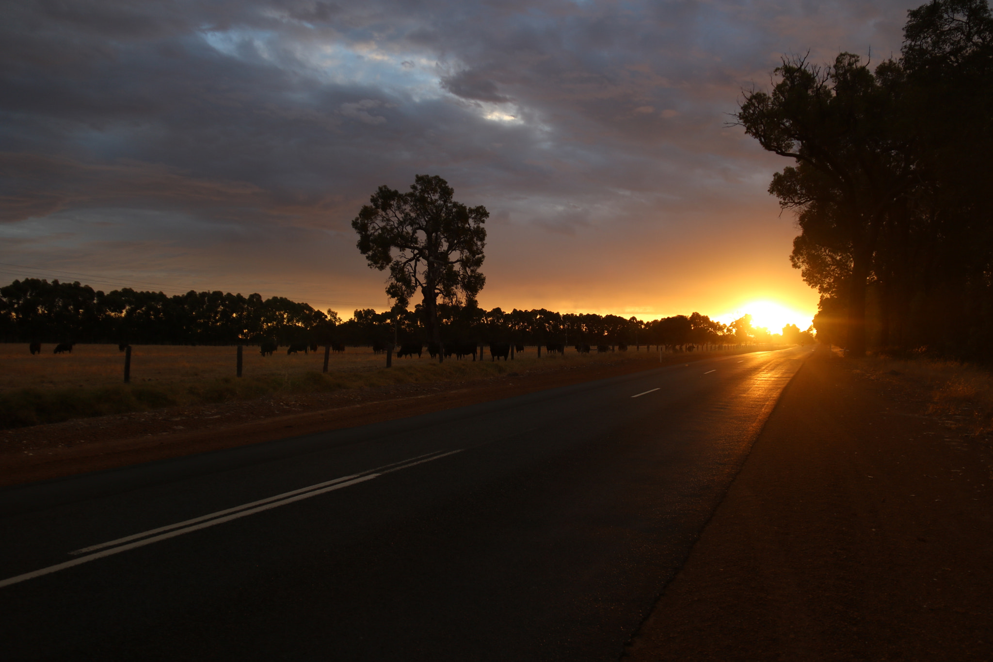 Canon EOS 760D (EOS Rebel T6s / EOS 8000D) sample photo. On the road photography