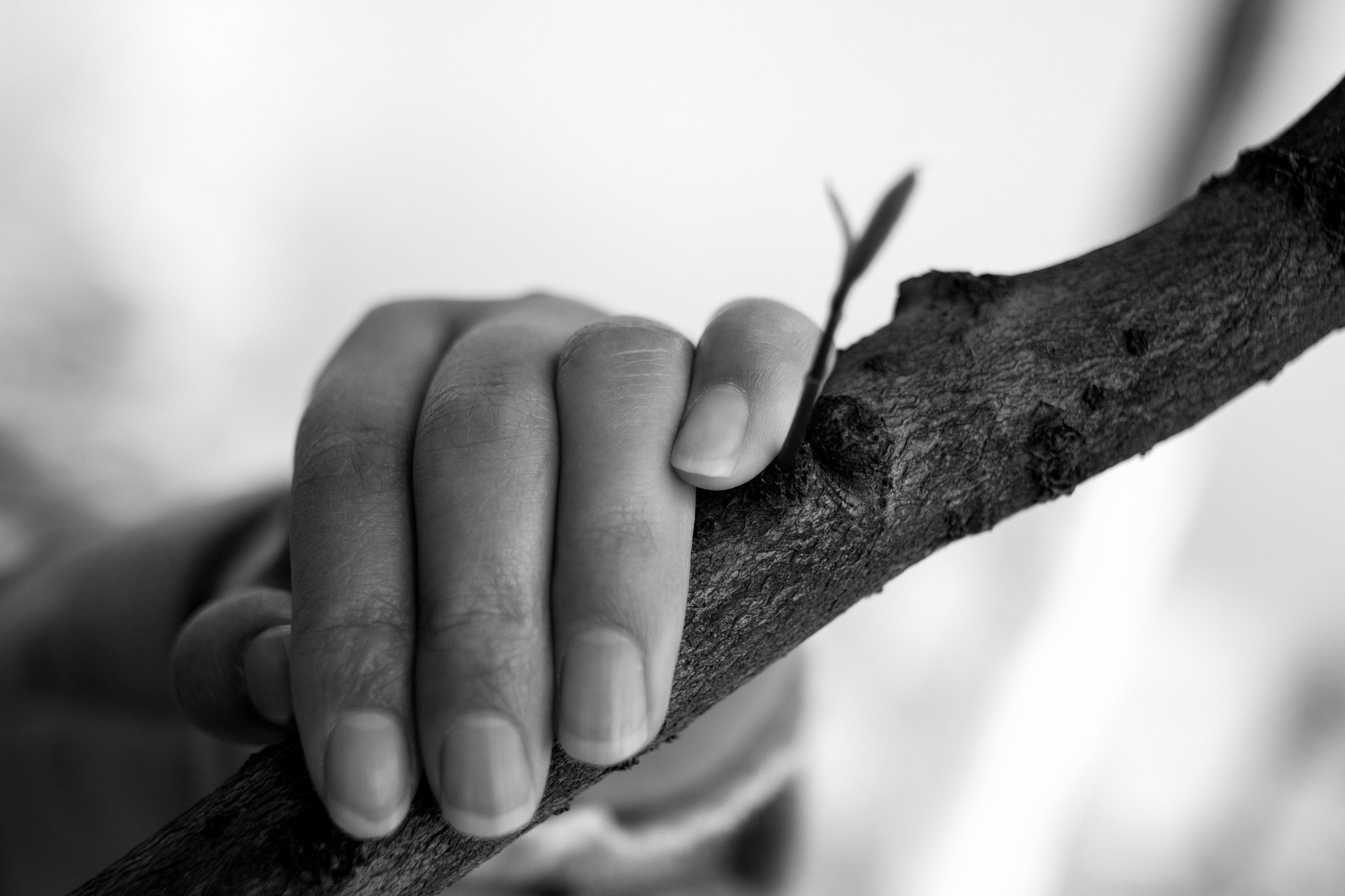Canon EF 28-70mm f/3.5-4.5 sample photo. Hand photography