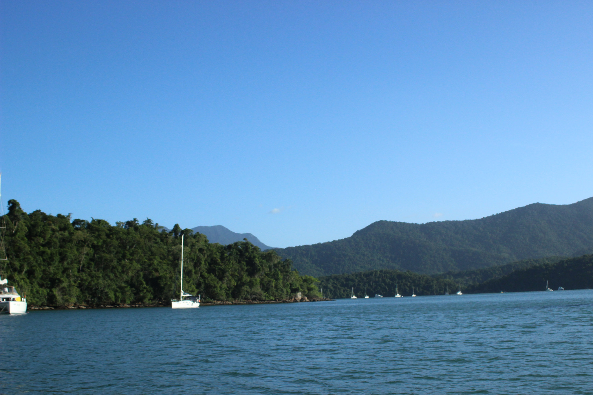 Canon EF 28-80mm f/3.5-5.6 sample photo. () photography