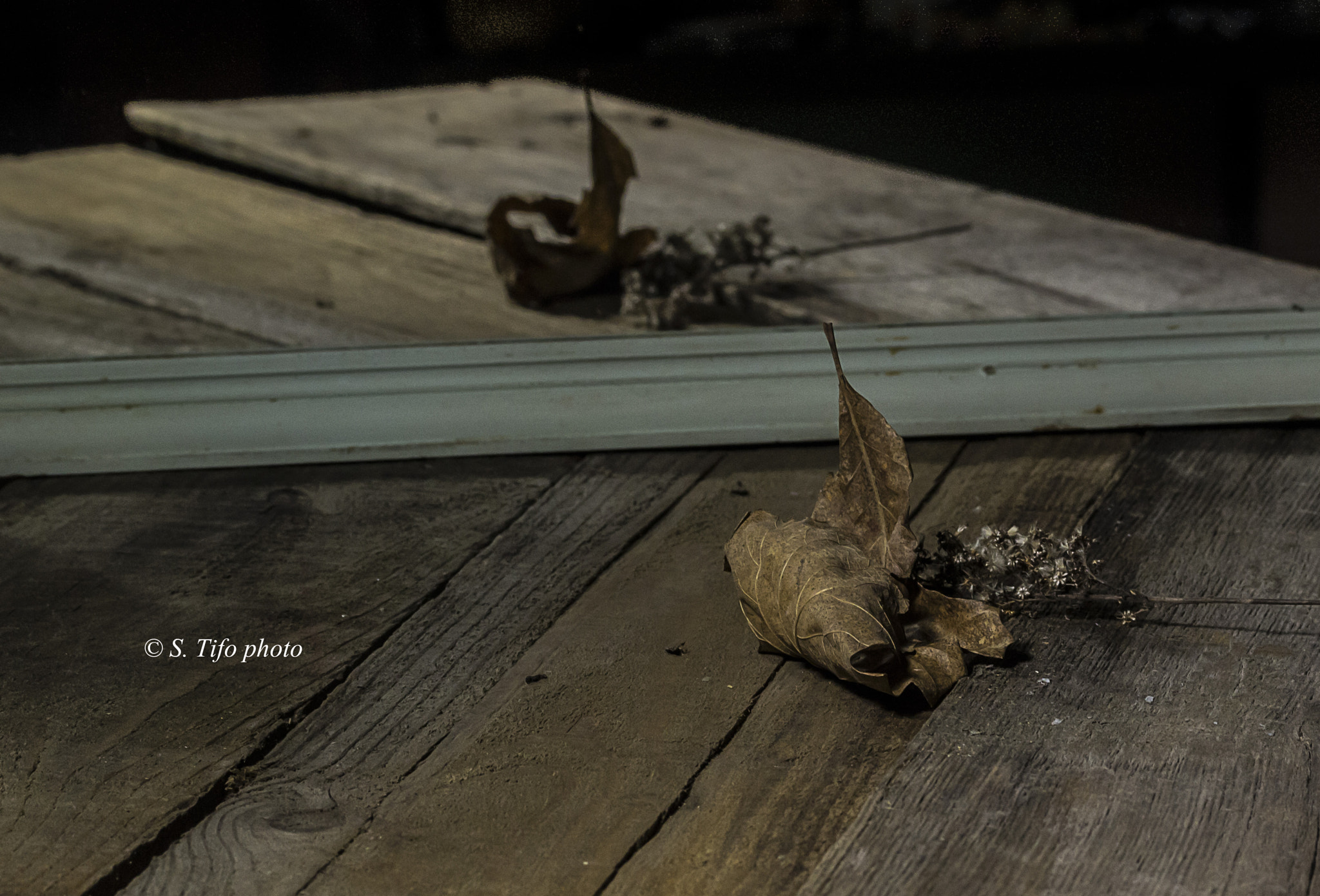 Canon EF-S 60mm F2.8 Macro USM sample photo. Mirror, mirror, tell me .... photography