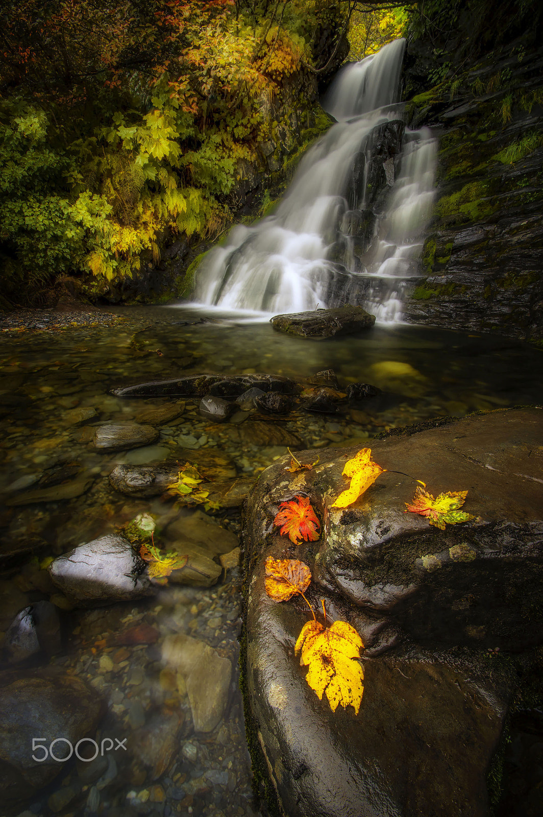 Pentax K-3 sample photo. Softly fallen photography