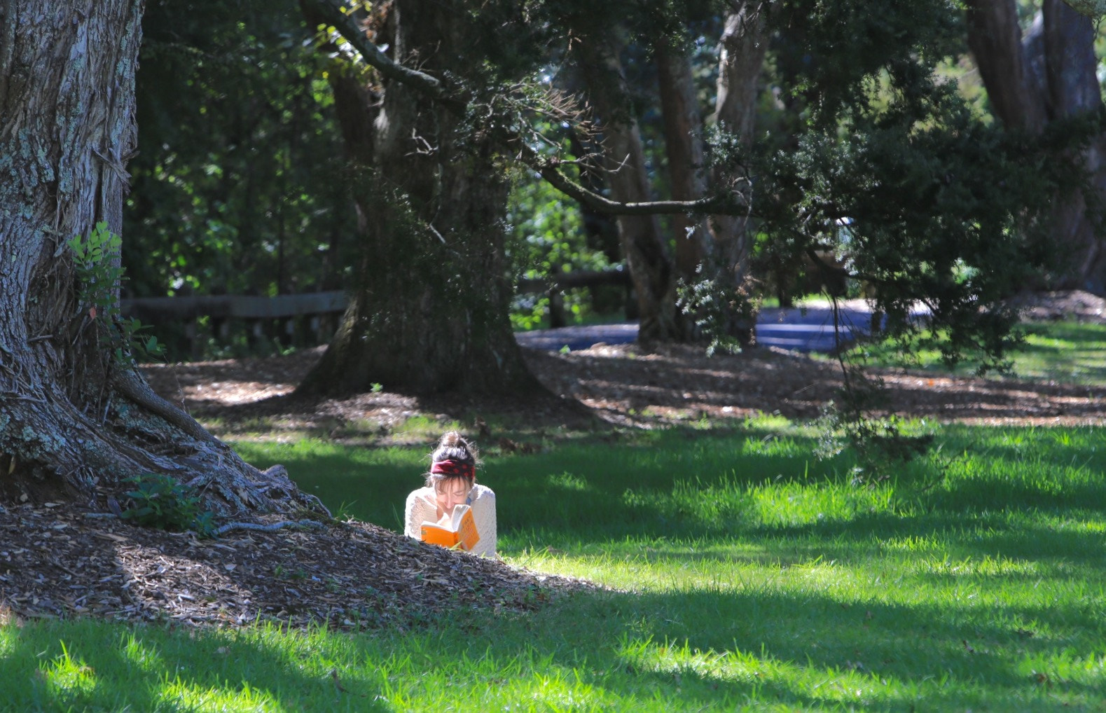 Canon EF 70-200mm F2.8L IS USM sample photo. Girl reading under sunshine during saturday forest walk at auckland photography