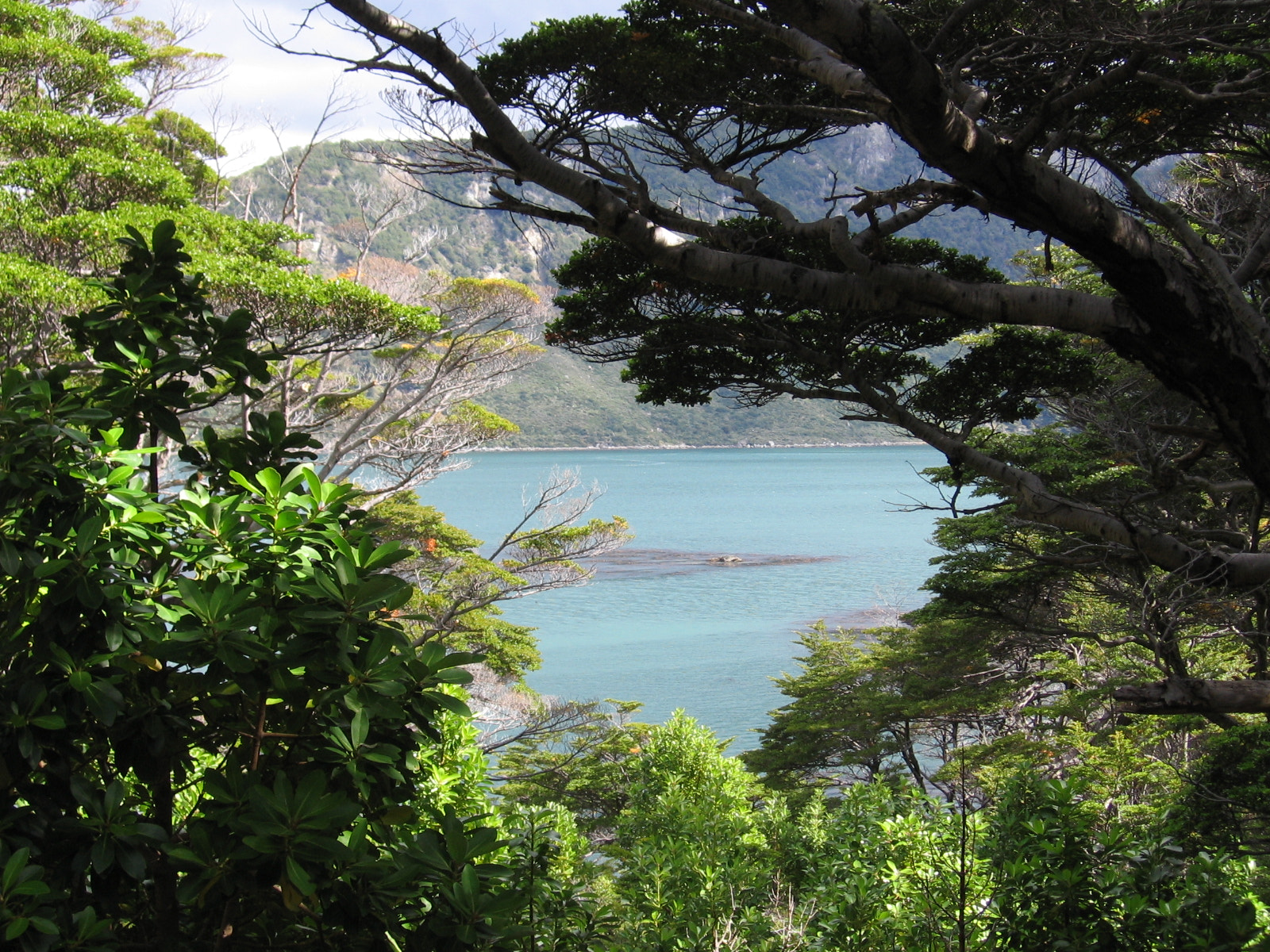 Canon POWERSHOT A520 sample photo. A hiden paradise photography