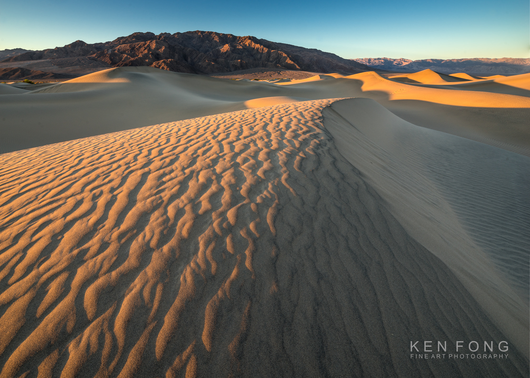 Sony a7R + Canon TS-E 17mm F4L Tilt-Shift sample photo. Death valley mesquite dunes 1 photography
