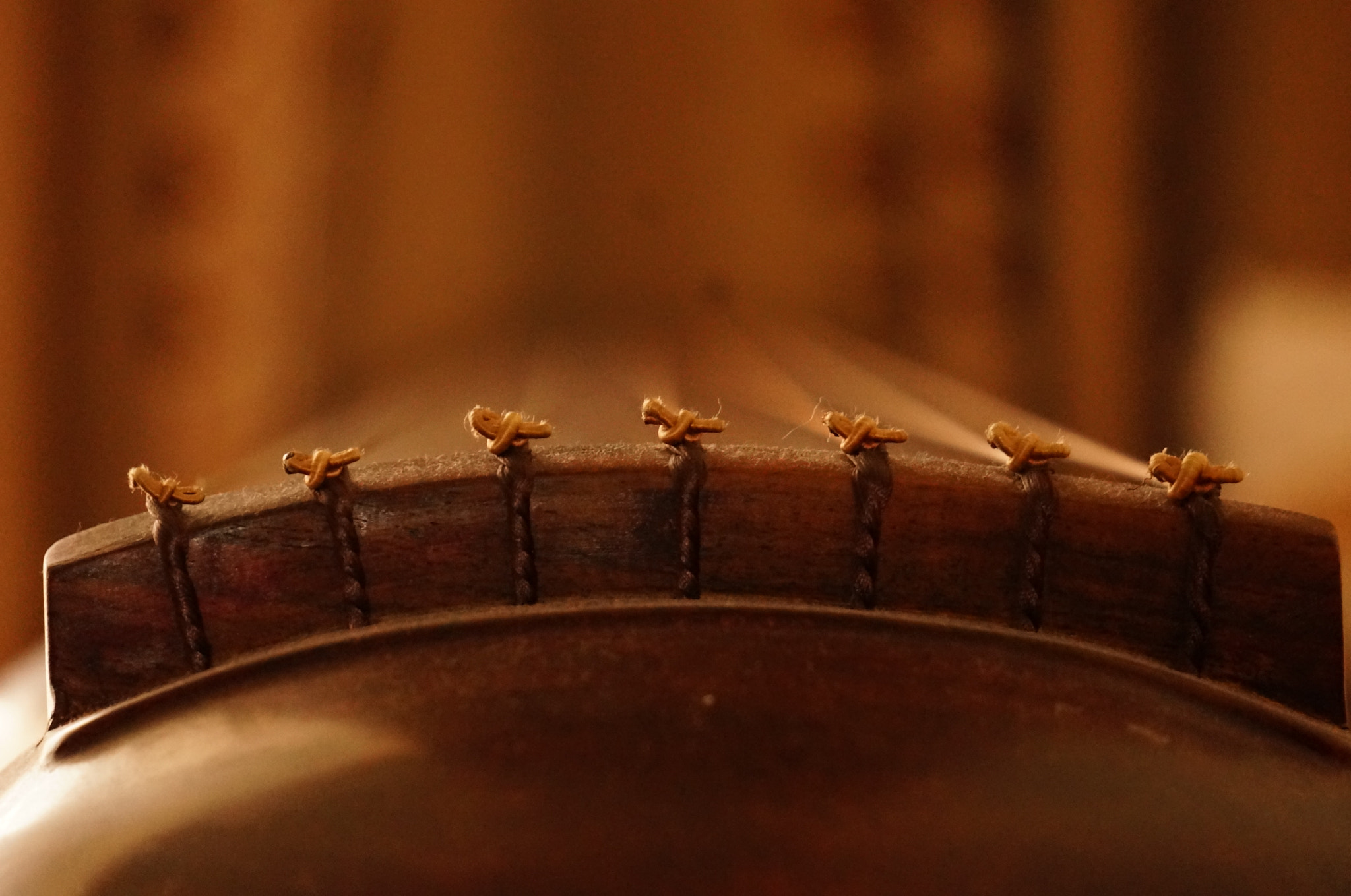Sony FE 24-240mm F3.5-6.3 OSS sample photo. Seven knots 许久不谈七弦情，积了厚厚一层霜 photography