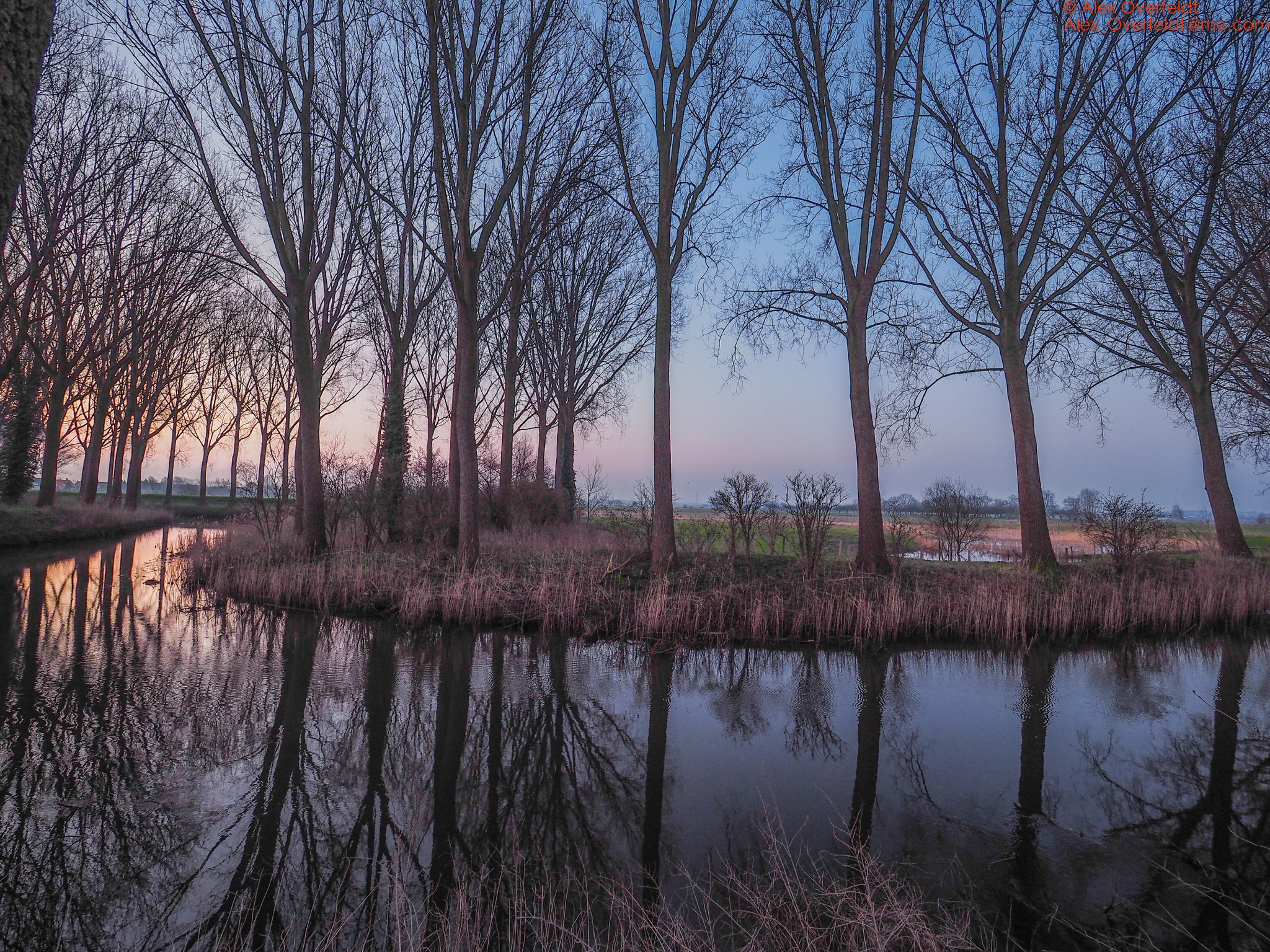 Olympus OM-D E-M10 II + Olympus M.Zuiko Digital ED 7-14mm F2.8 PRO sample photo. 13th march sunrise in damme countryside photography