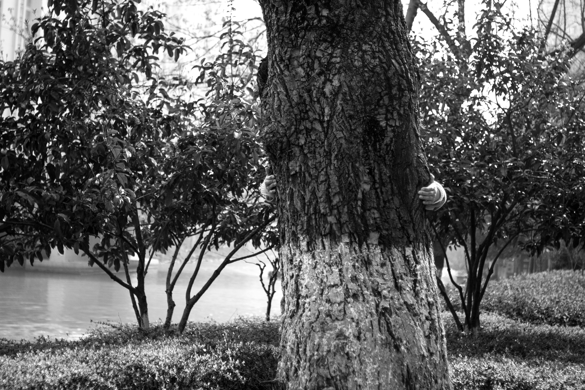 Canon EF 28-70mm f/3.5-4.5 sample photo. I hold a tree photography