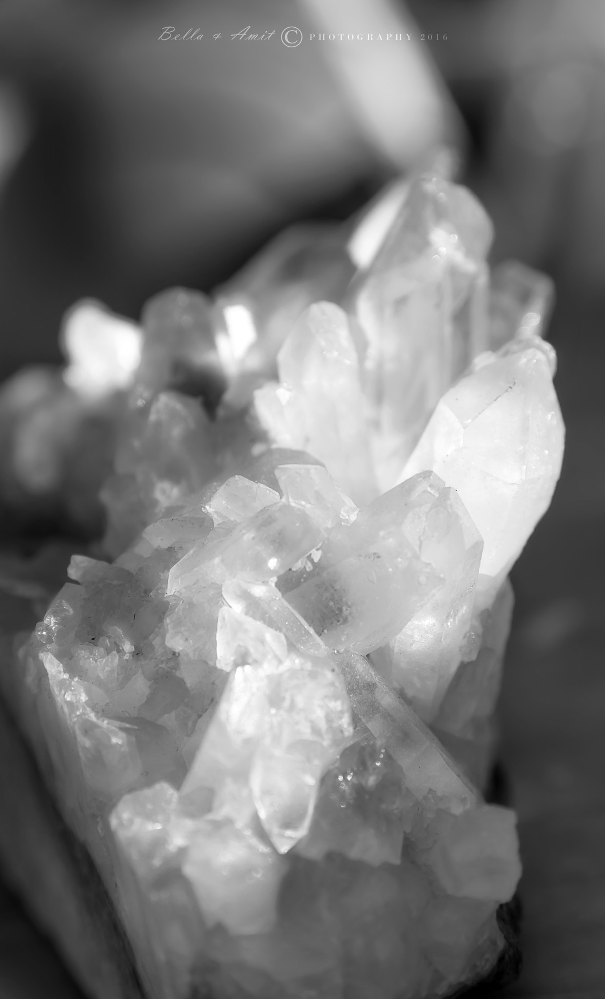 Sigma 17-70mm F2.8-4 DC Macro OS HSM | C sample photo. Crystal photography
