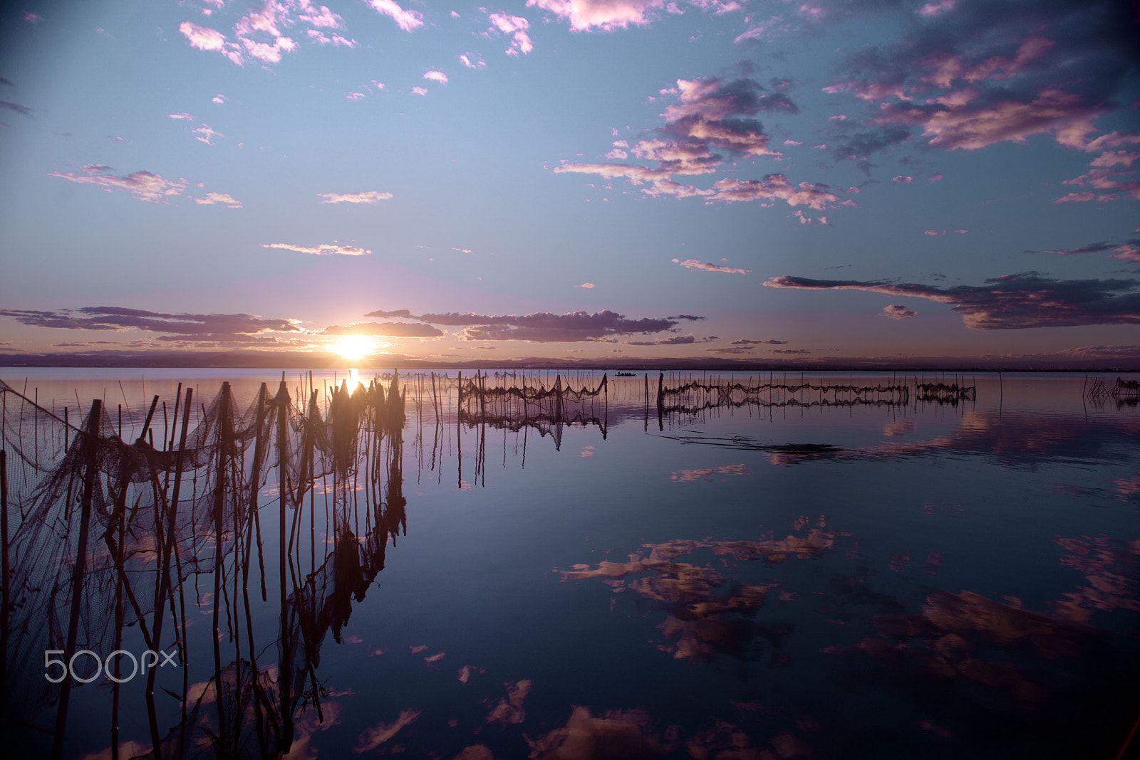 Nikon D600 + AF Nikkor 20mm f/2.8 sample photo. Albufera photography