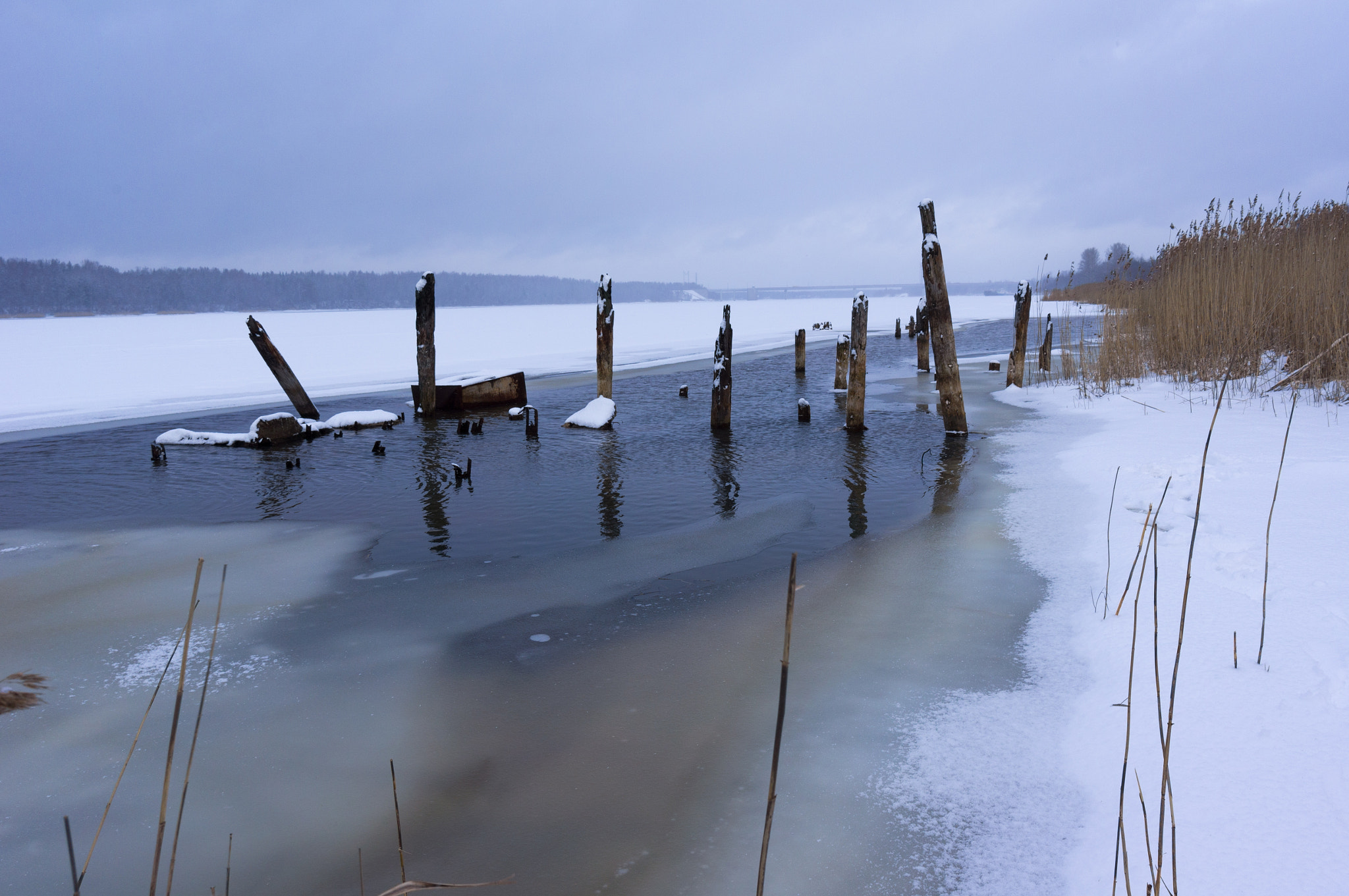 Sony Alpha NEX-5N + Sony E 10-18mm F4 OSS sample photo. The old poles in the water. photography